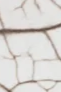 7-52855269589259-45938873008395.png