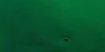 7-53150550819083-44324080451851.jpeg