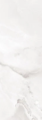 8-52023338926347-44329541173515.png
