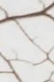 8-52855269622027-45938873008395.png