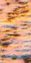 8-53079701848331-46392050057483.jpeg