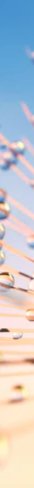 8-53090218934539-66751410766091.jpeg
