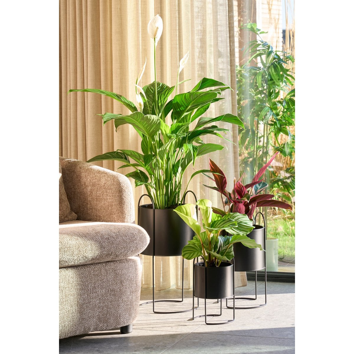 Blumentopf in Petry Black