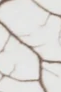 9-52855269654795-45938873008395.png
