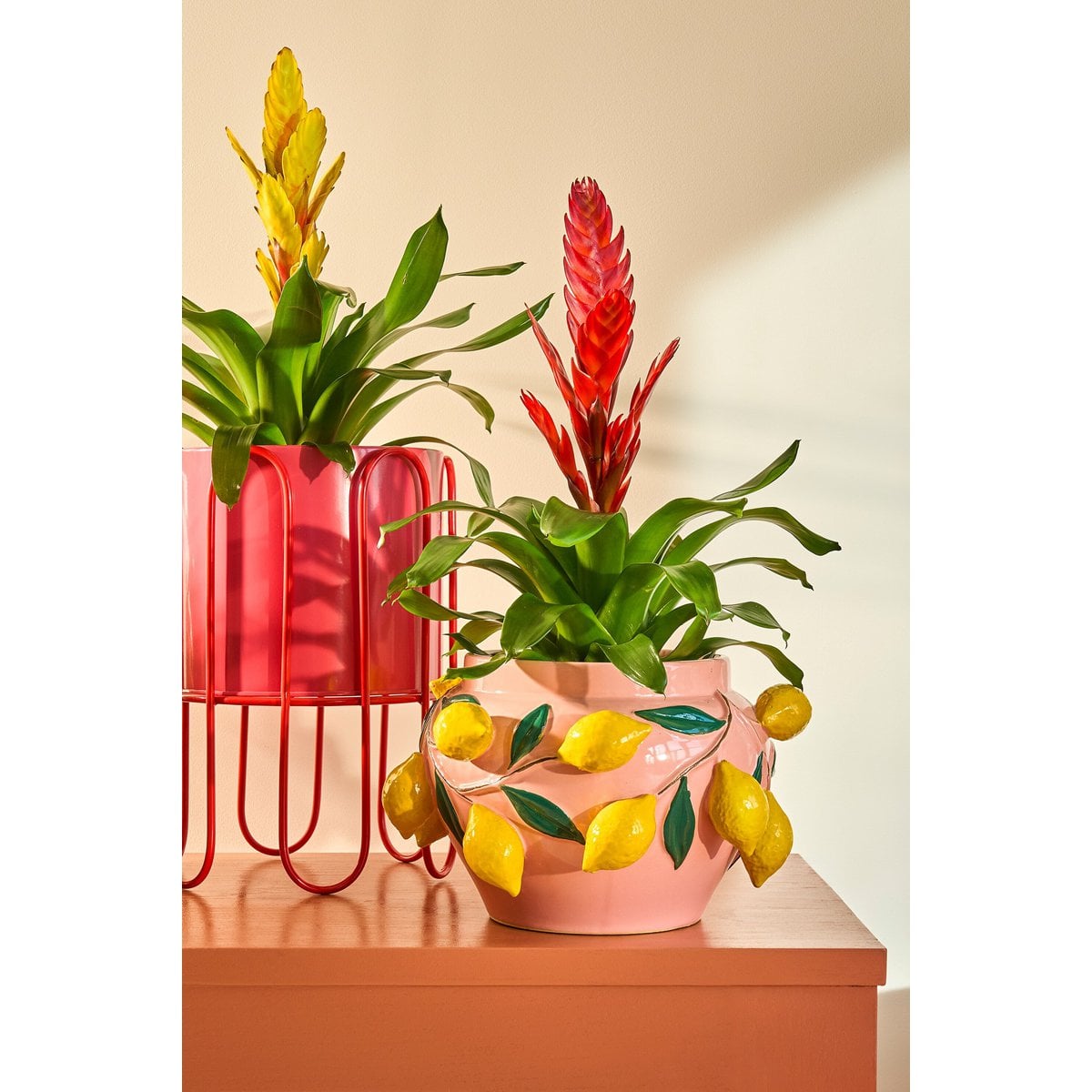Blumentopf in Dione Pink
