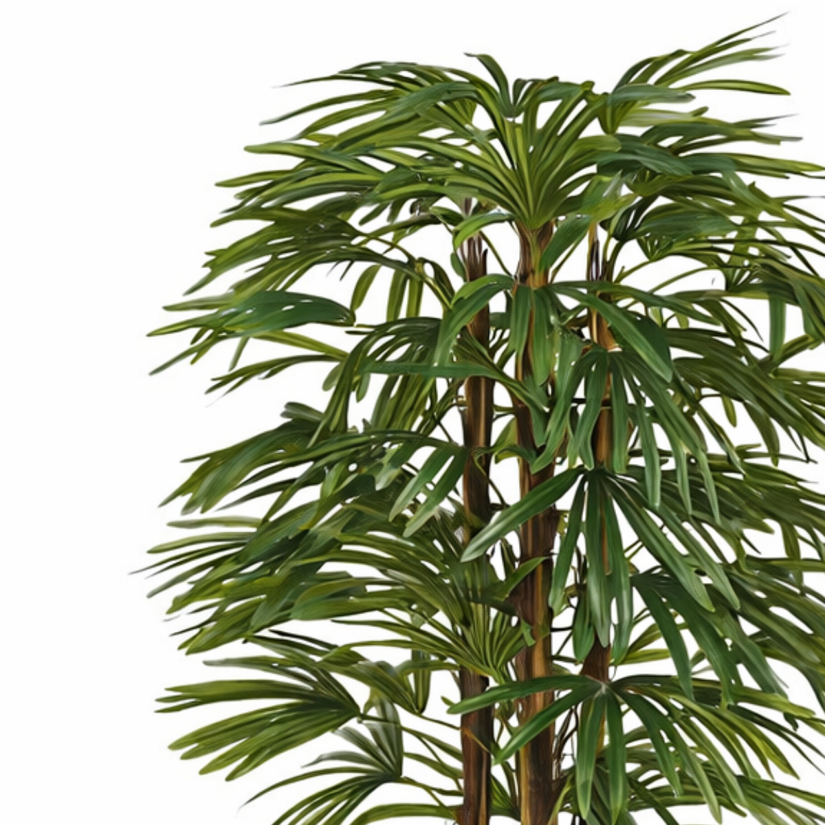 Künstliche Pflanze Raphis Palm Green