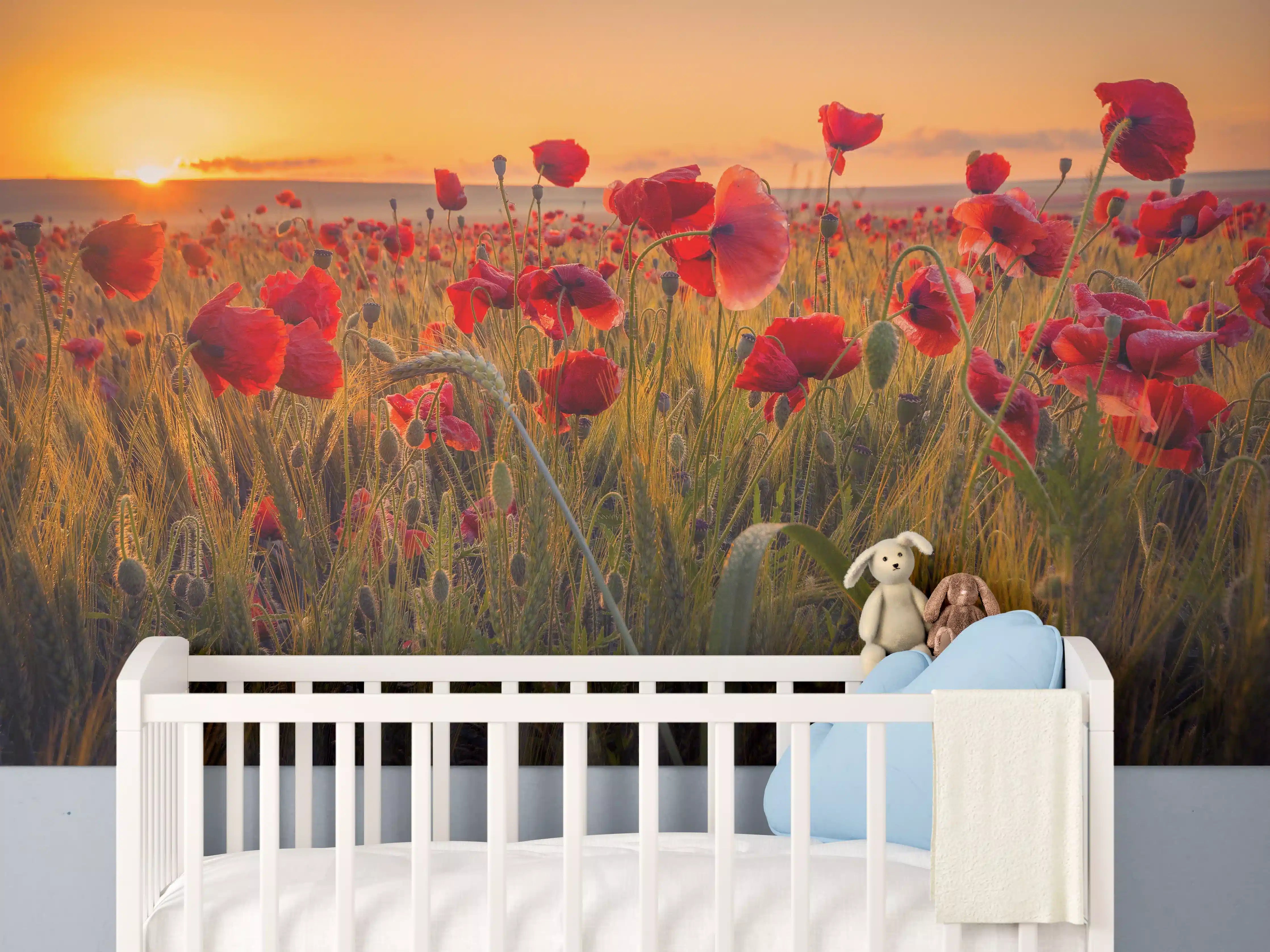 Babyzimmer Wandgestaltung - Abendlicht über Mohnblumenwiese