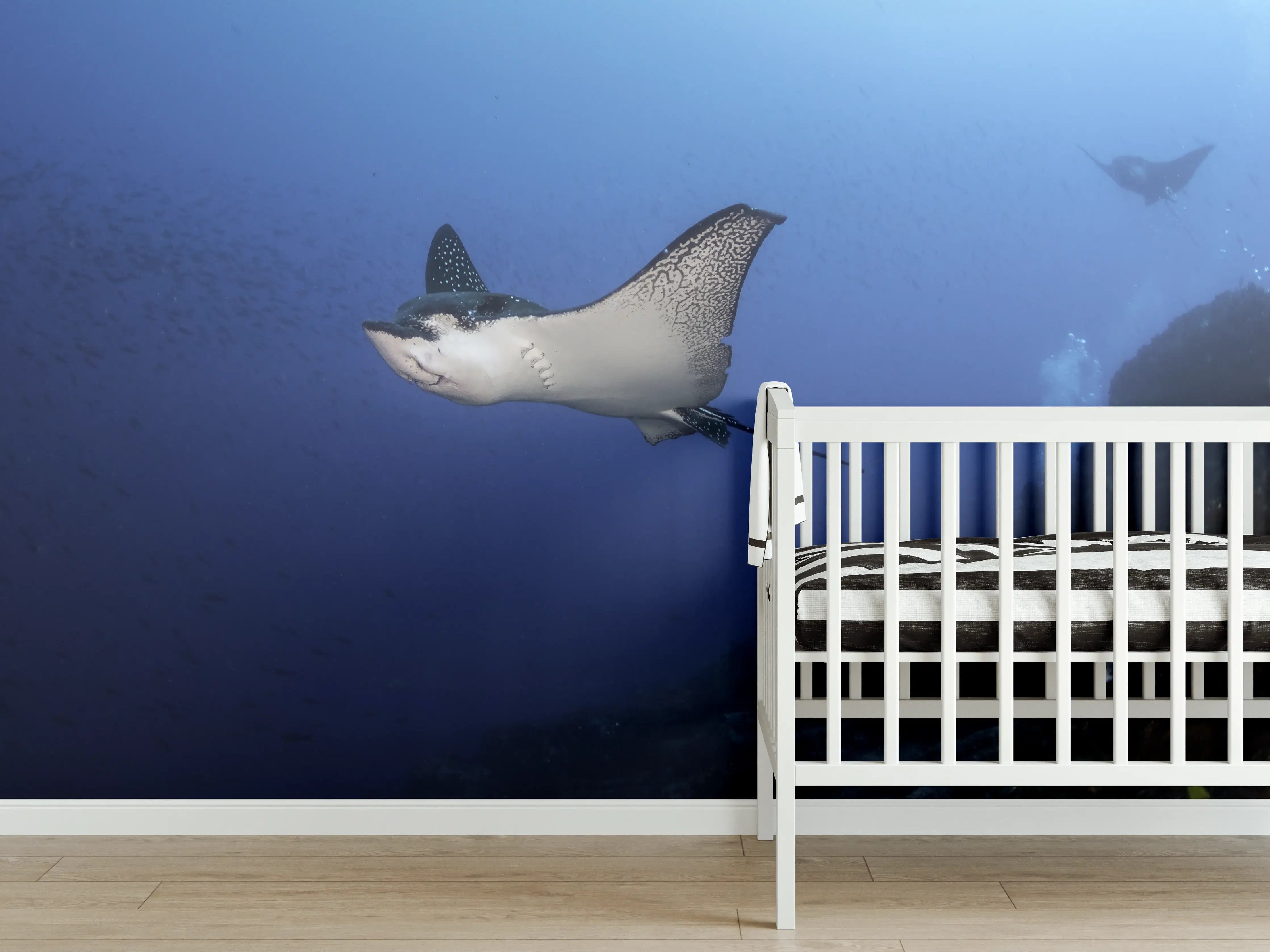 Babyzimmer Wandgestaltung - Adlerrochen schwimmt über dem Korallenriff