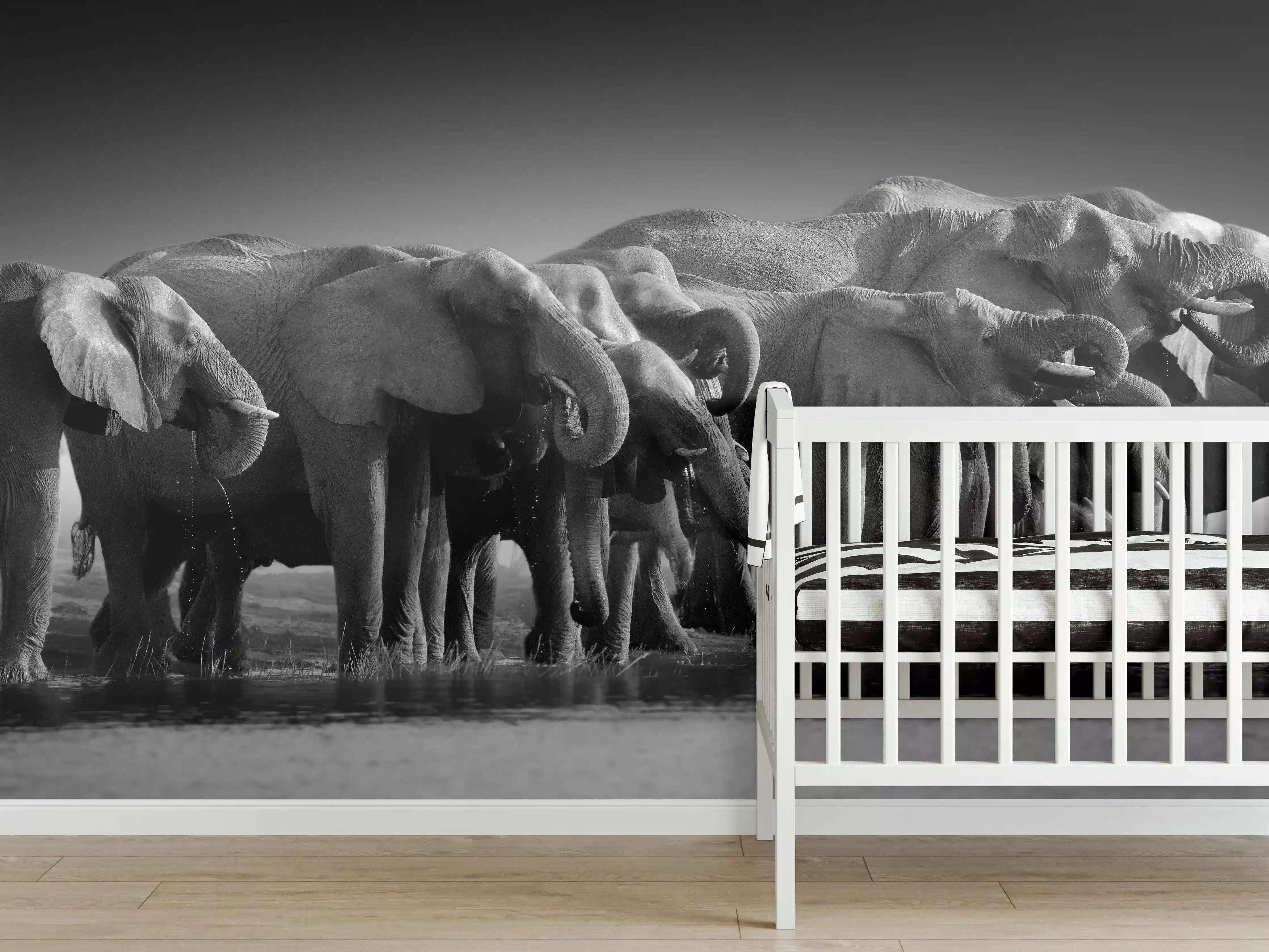 Babyzimmer Wandgestaltung - Afrikanische Elefantenherde (Schwarz-Weiß)
