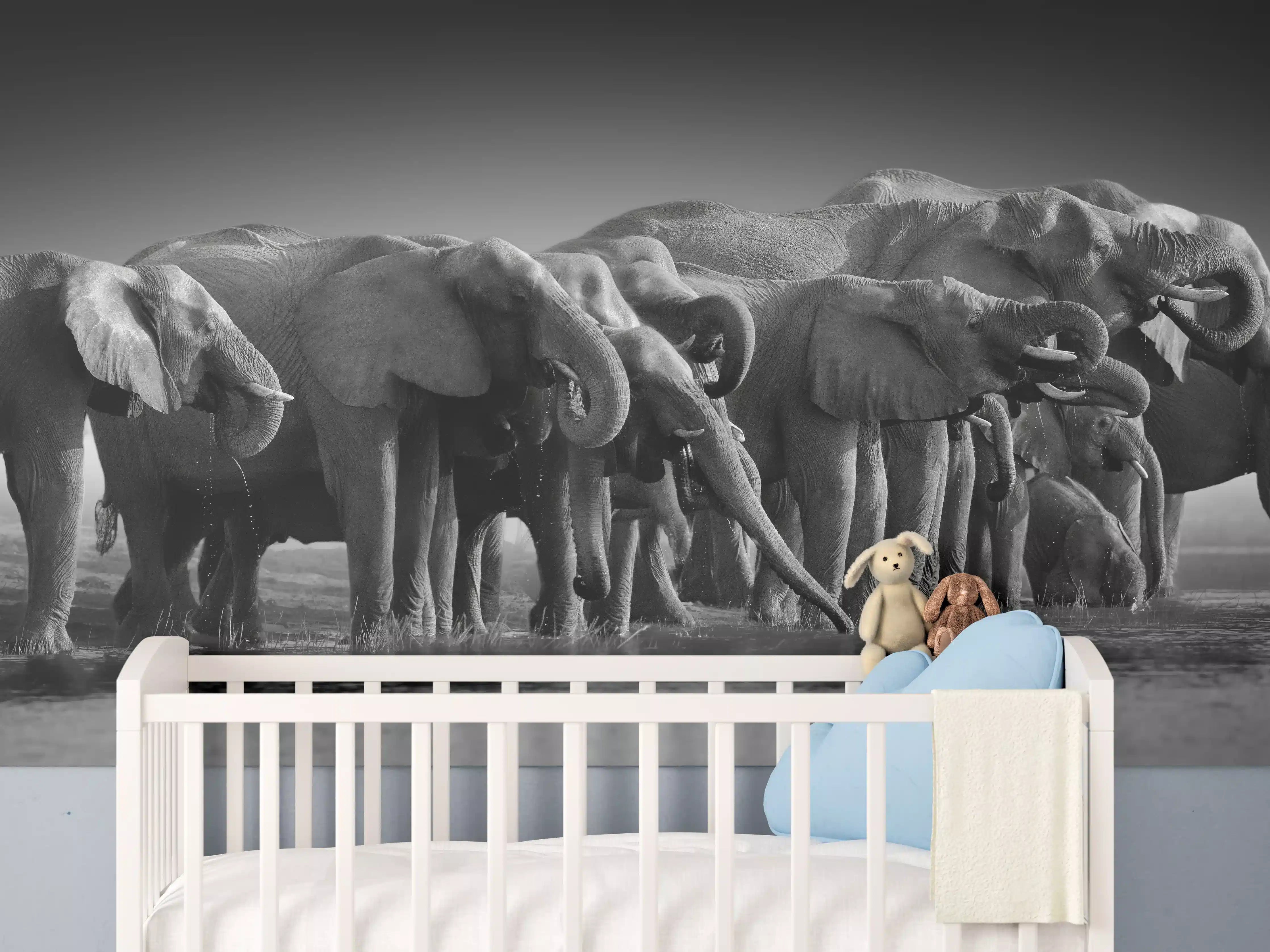 Babyzimmer Wandgestaltung - Afrikanische Elefantenherde (Schwarz-Weiß)