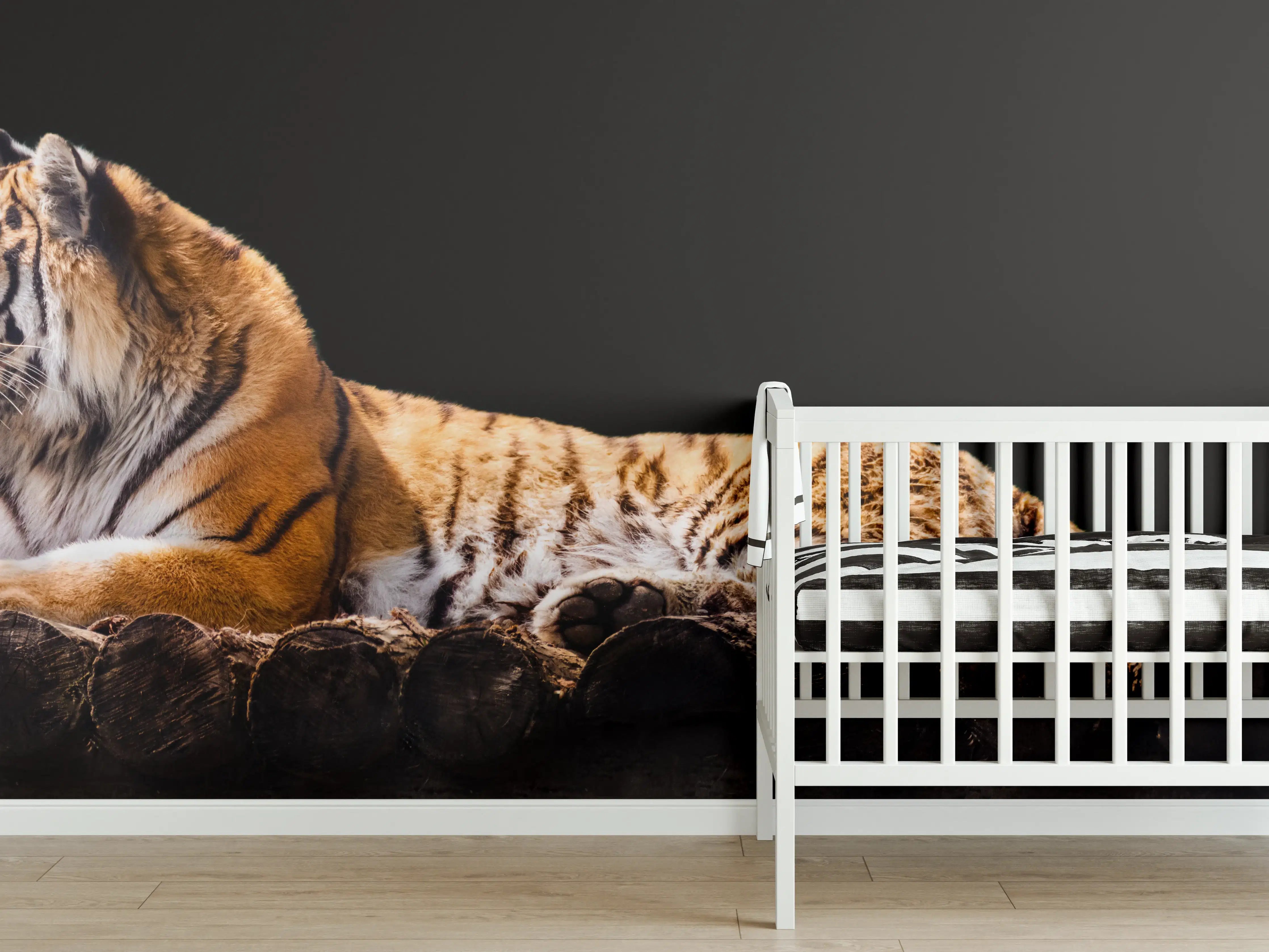 Babyzimmer Wandgestaltung - Amurtiger liegend auf Holzdeck mit Schwarzem Hintergrund