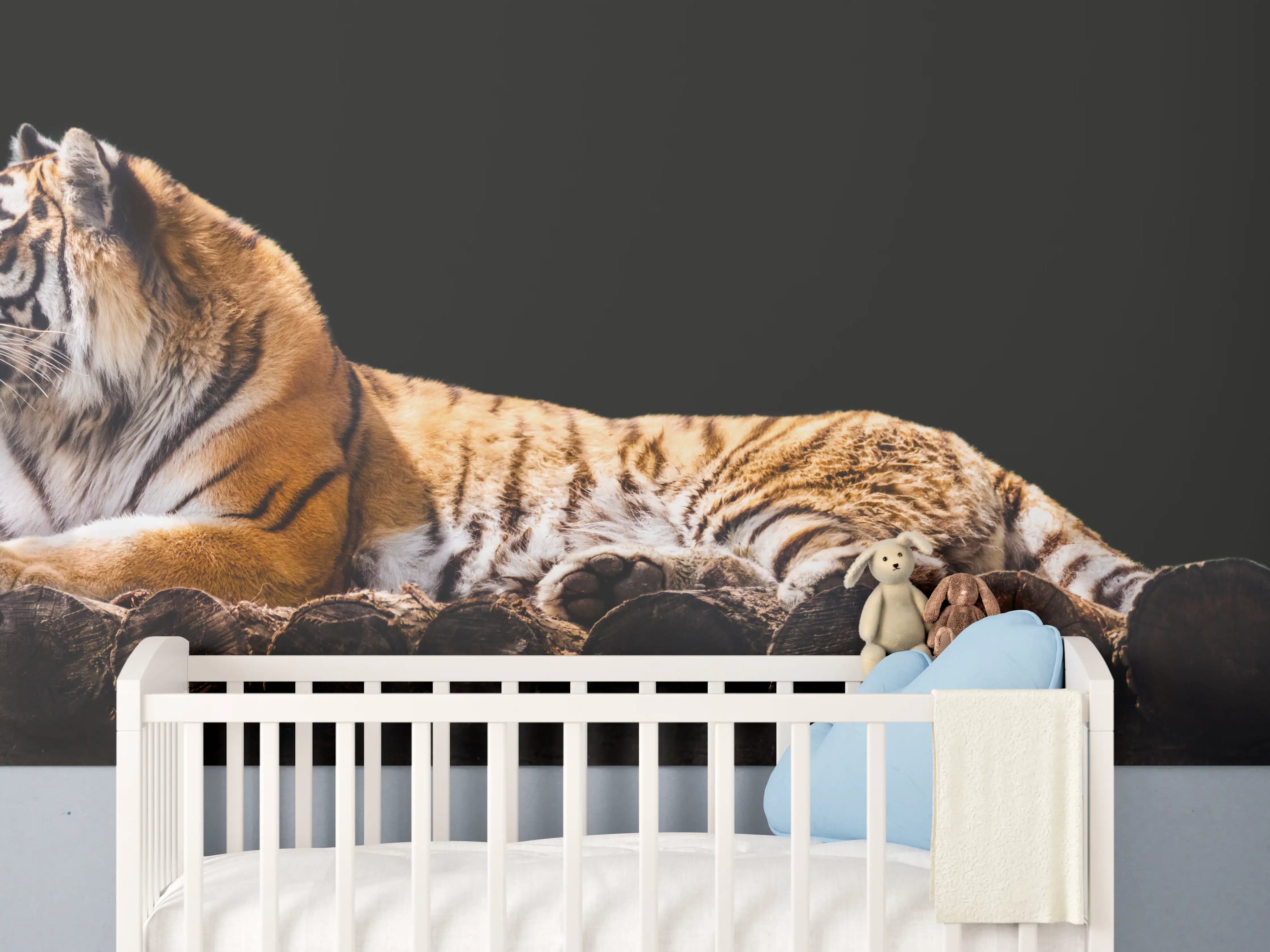Babyzimmer Wandgestaltung - Amurtiger liegend auf Holzdeck mit Schwarzem Hintergrund