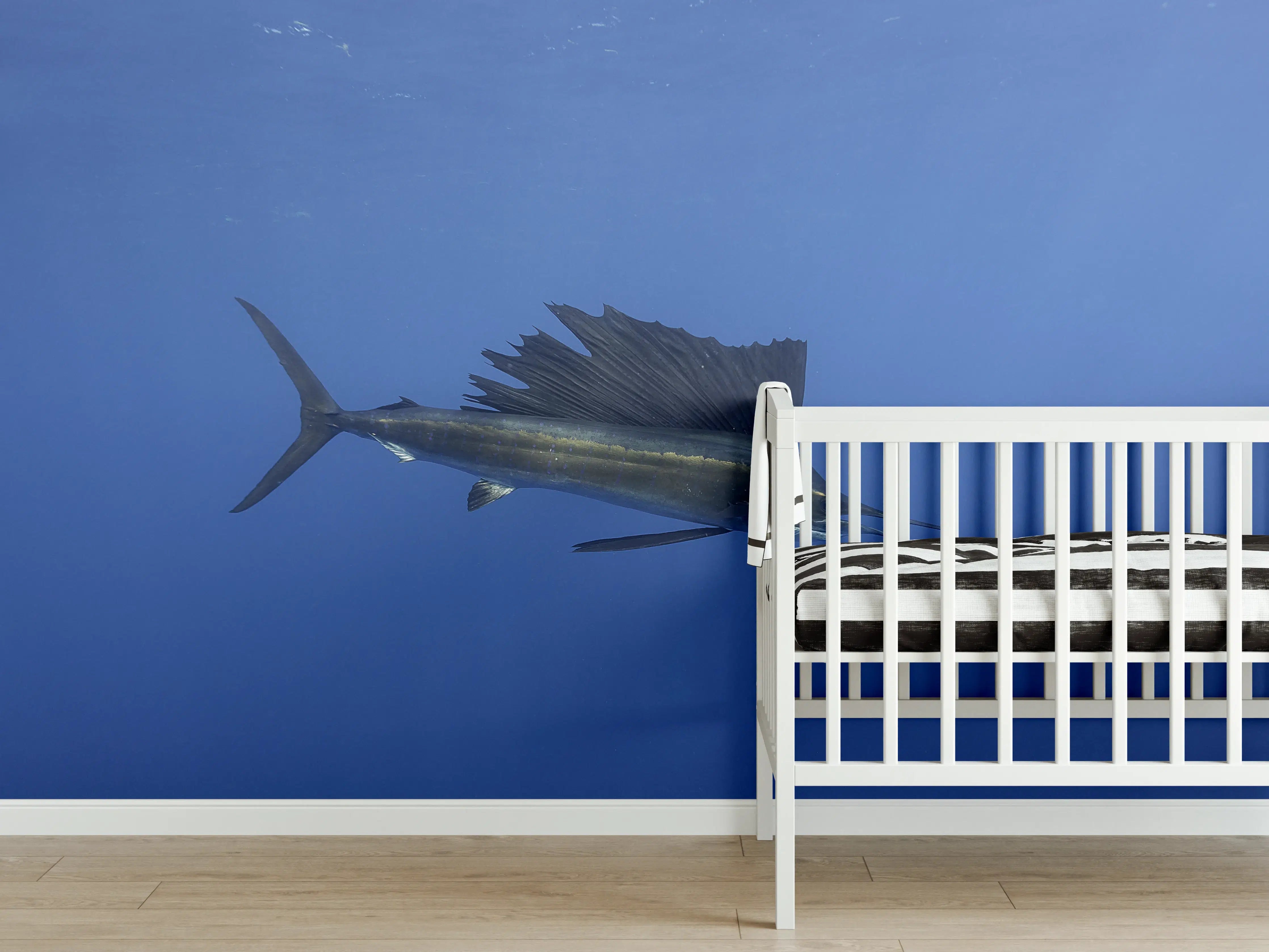 Babyzimmer Wandgestaltung - Atlantischer Segelfisch vor Küste Mexico