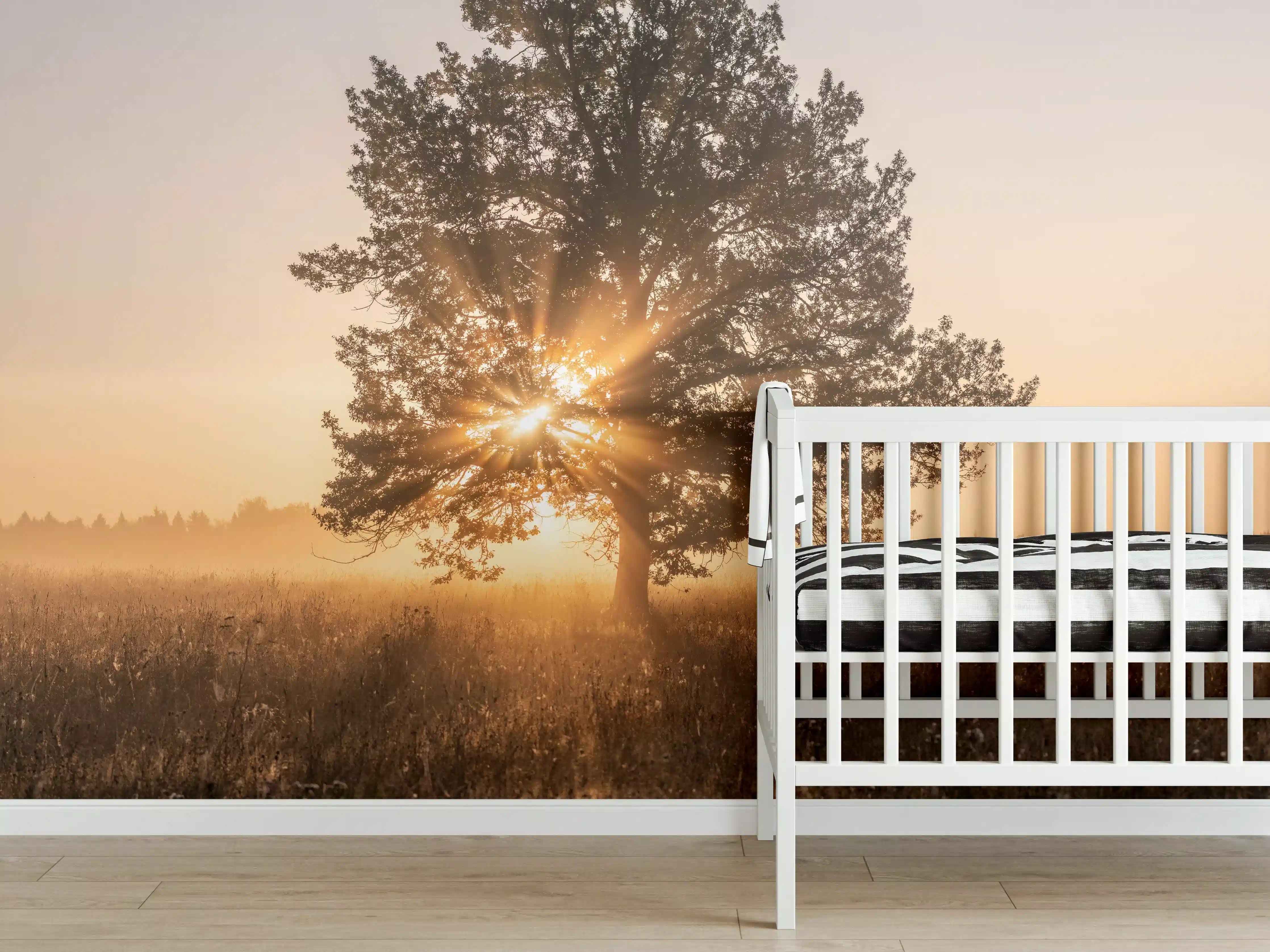Babyzimmer Wandgestaltung - Baum an einem frühen Herbstmorgen in Russland