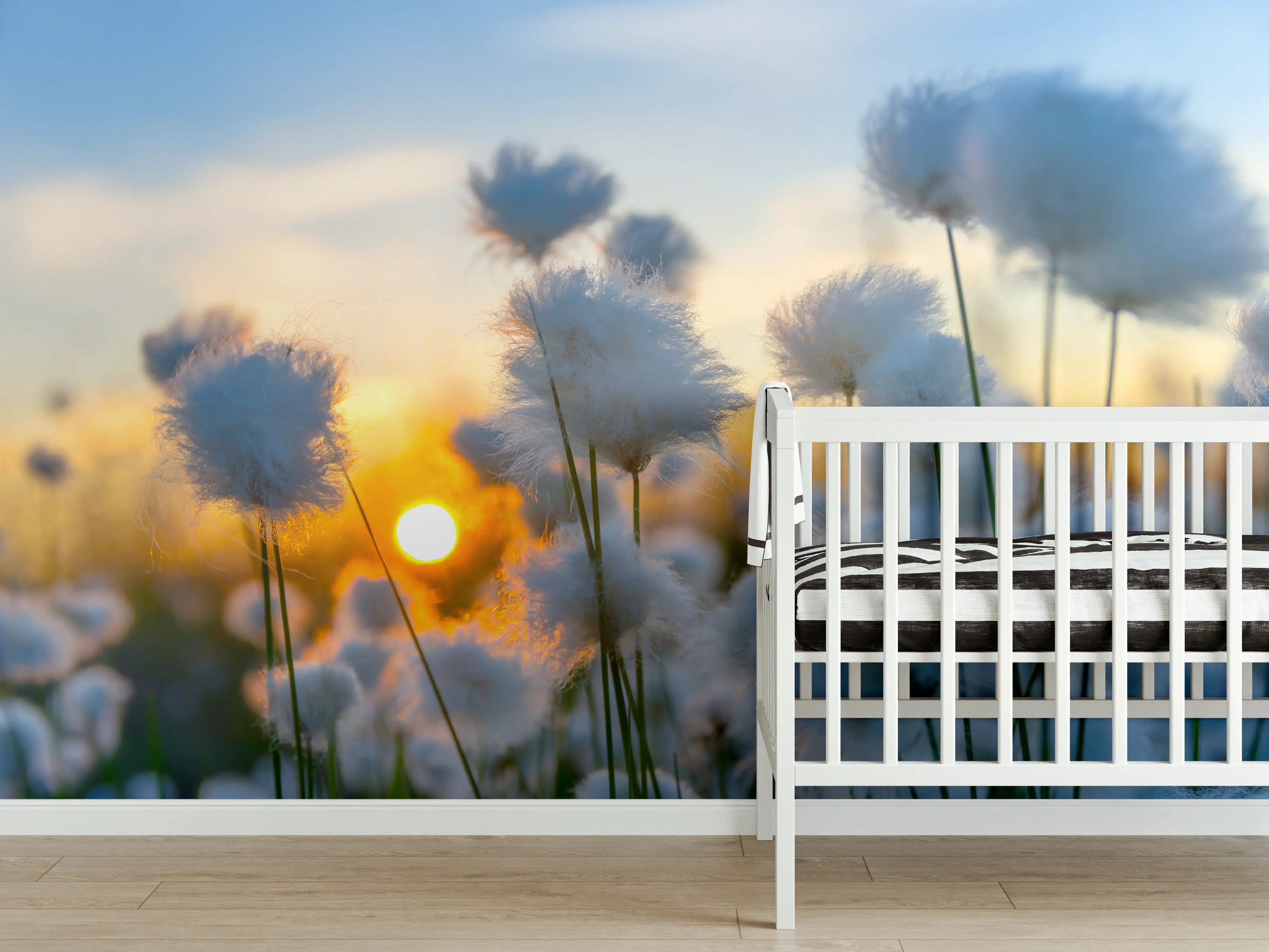 Babyzimmer Wandgestaltung - Baumwollgras bei Sonnenuntergang
