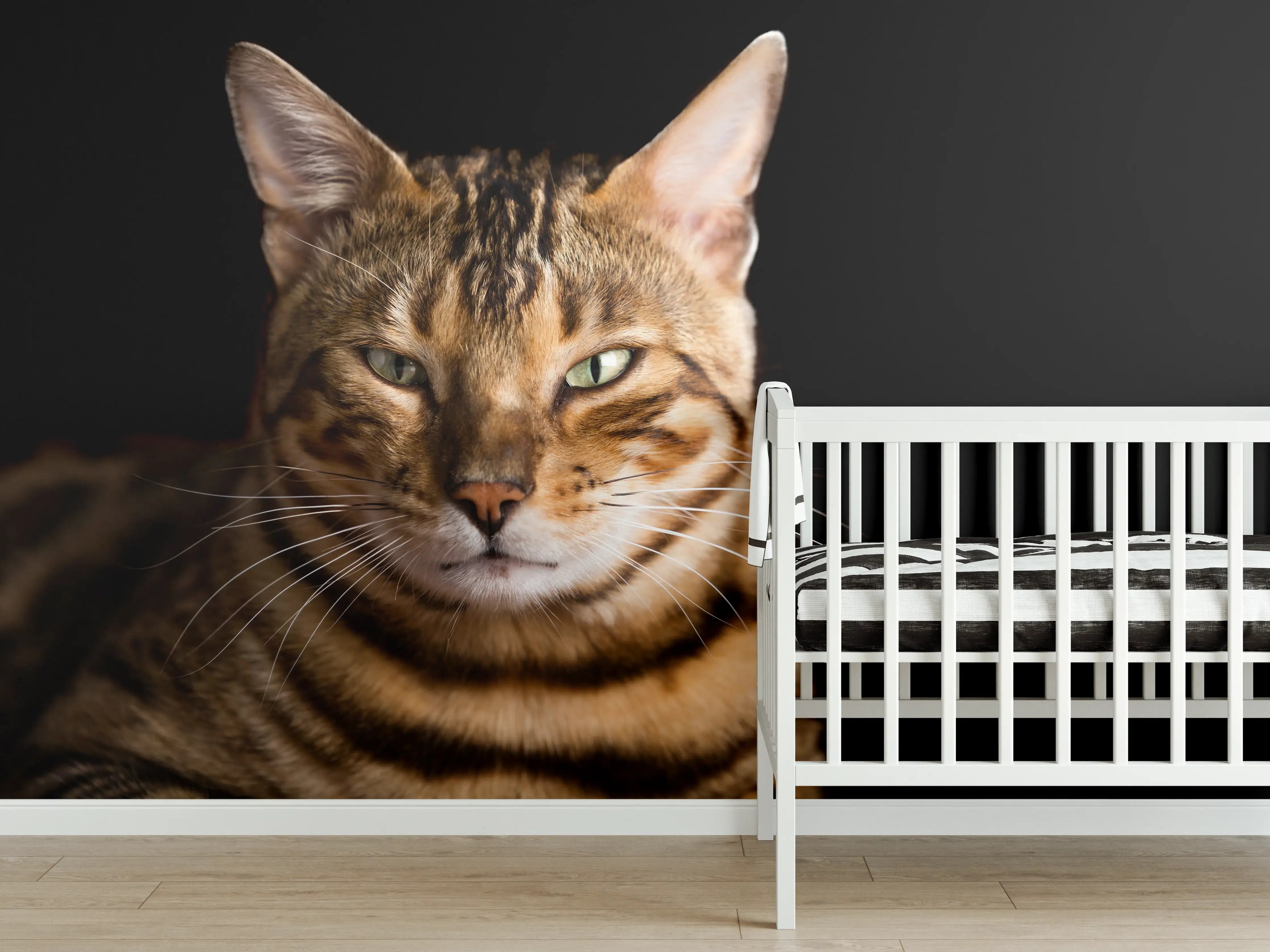 Babyzimmer Wandgestaltung - Bengalkatze Portrait