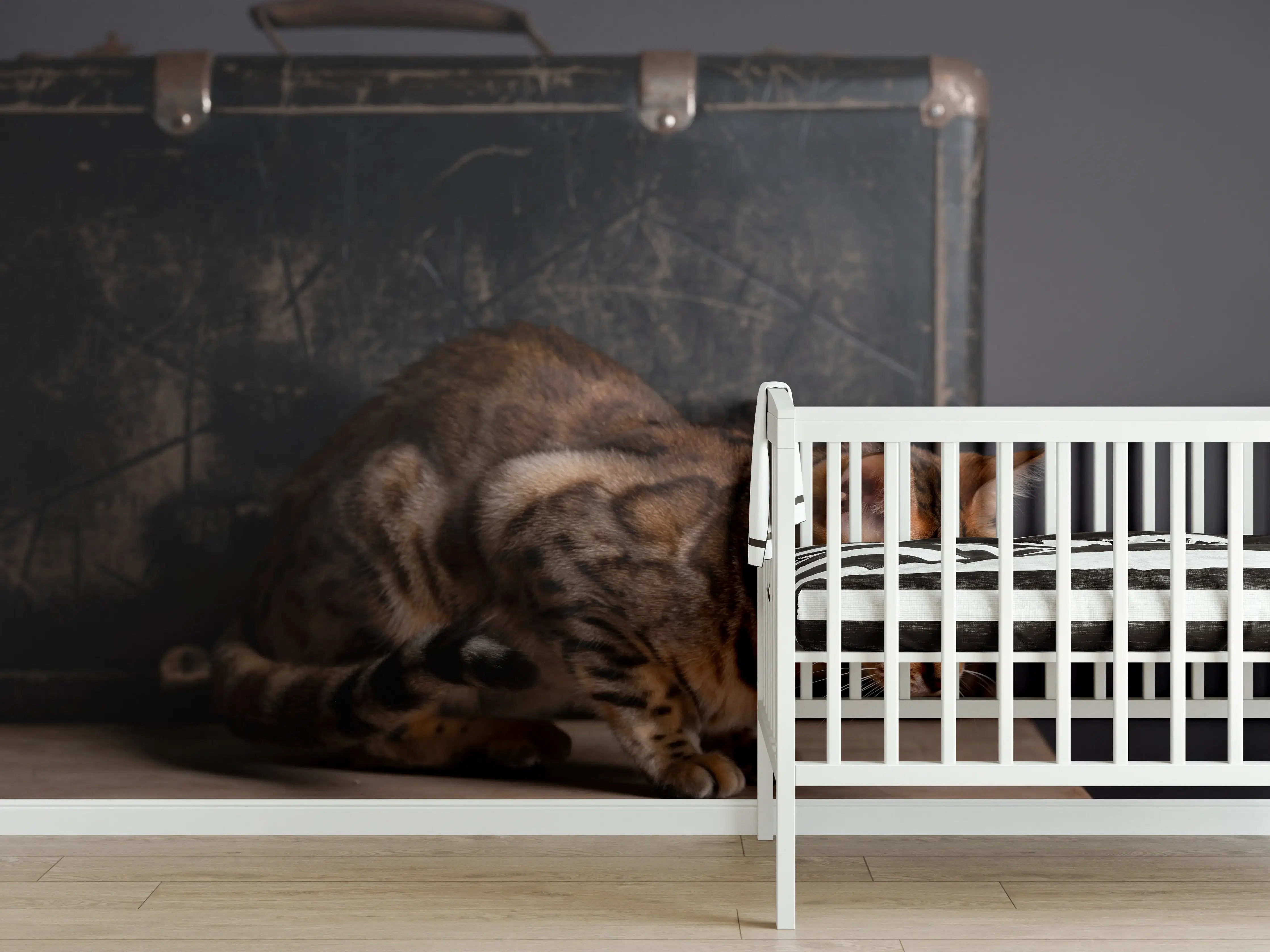 Babyzimmer Wandgestaltung - Bengalkatze auf Holztisch