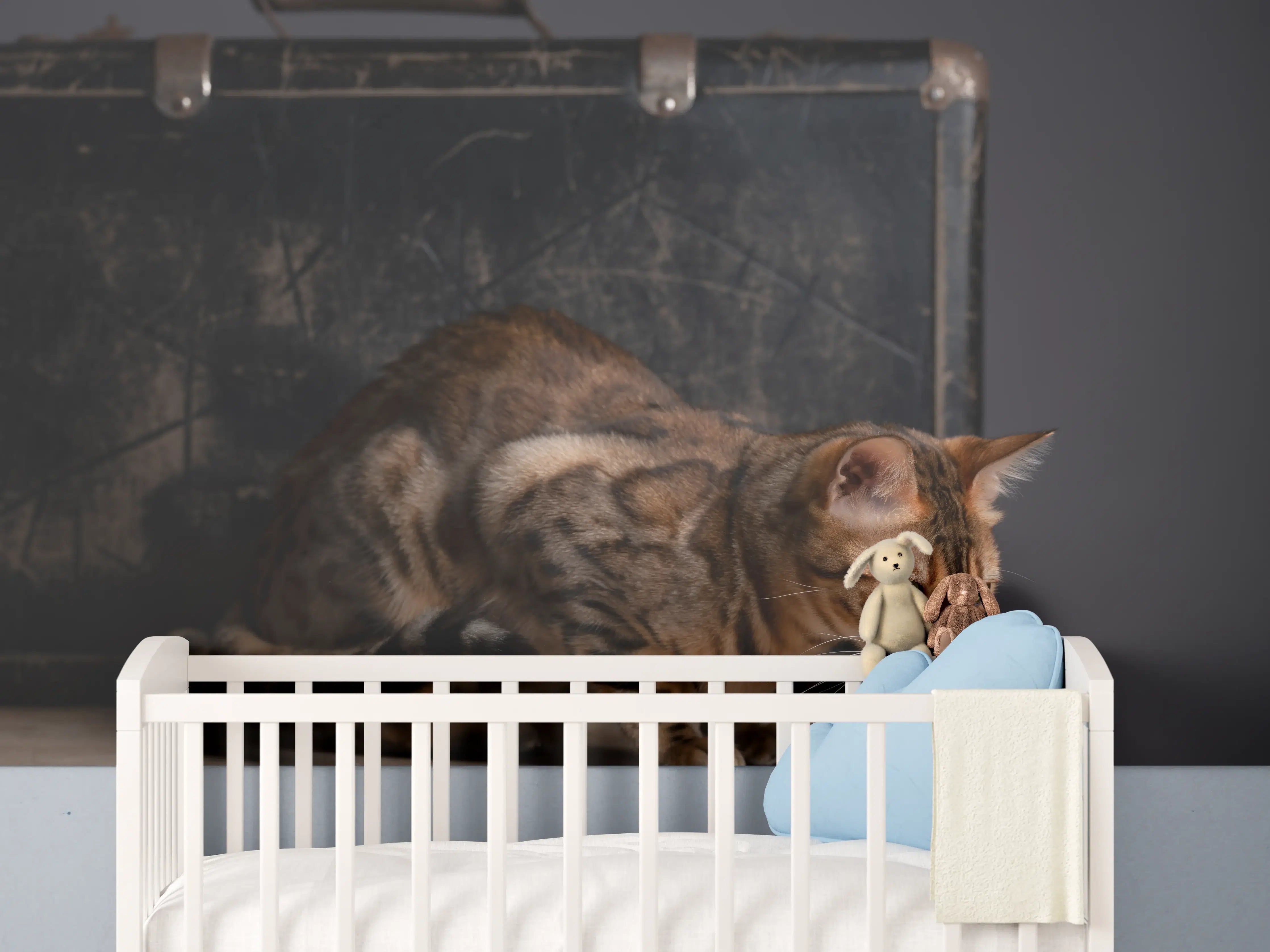 Babyzimmer Wandgestaltung - Bengalkatze auf Holztisch
