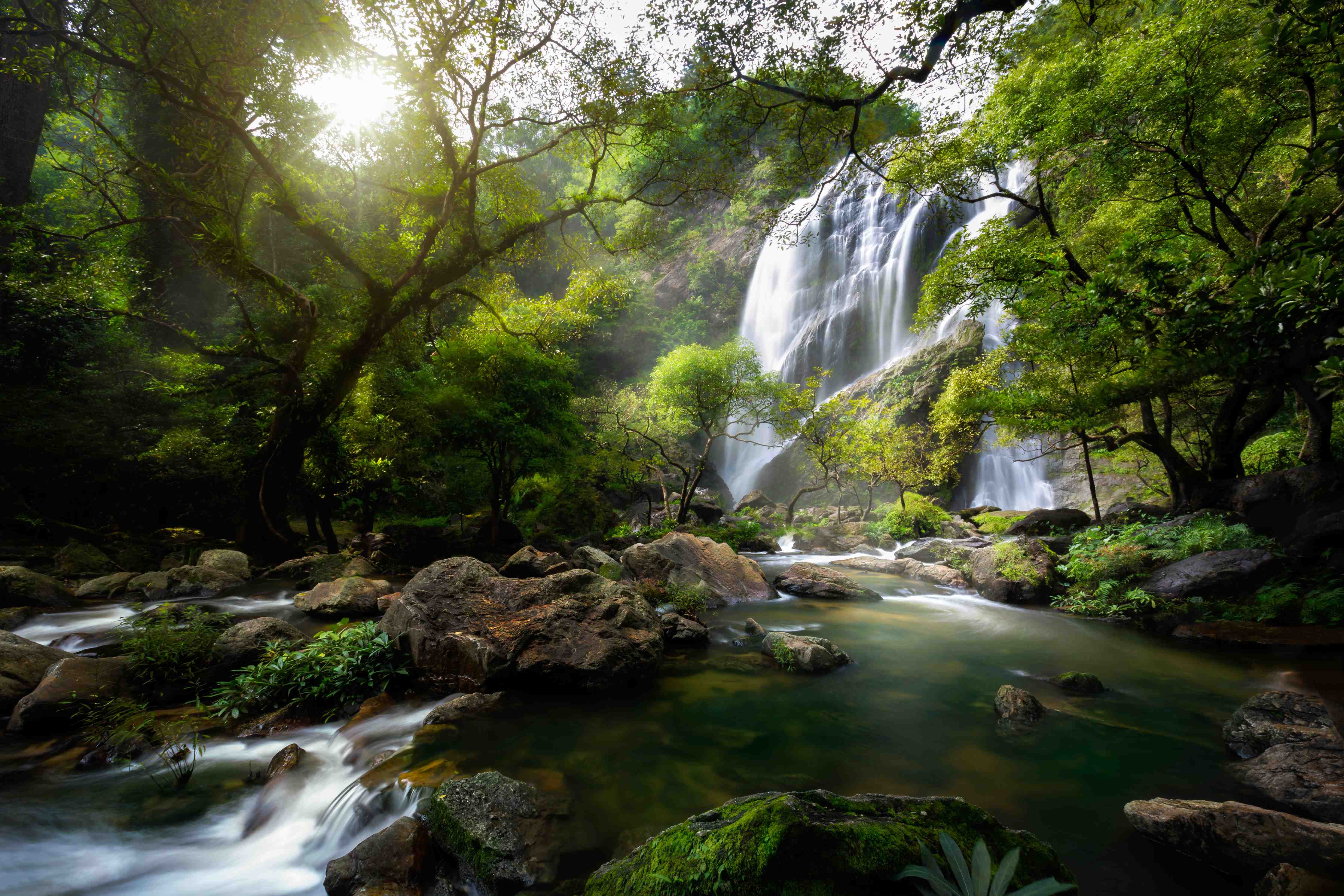 Babyzimmer Wandgestaltung-Bergbach und Wasserfall in Thailand