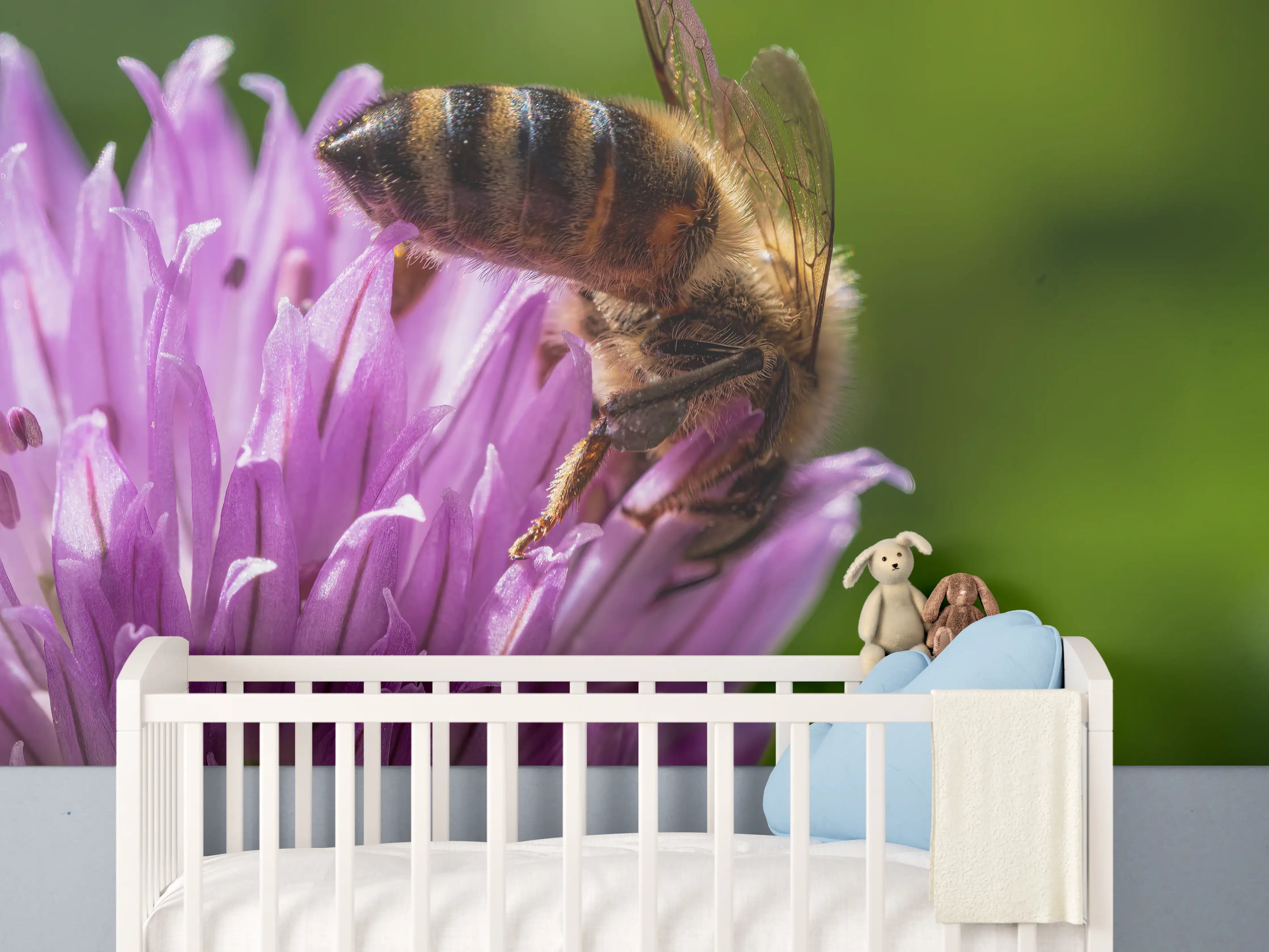 Babyzimmer Wandgestaltung - Biene auf Lila Blüte Makro