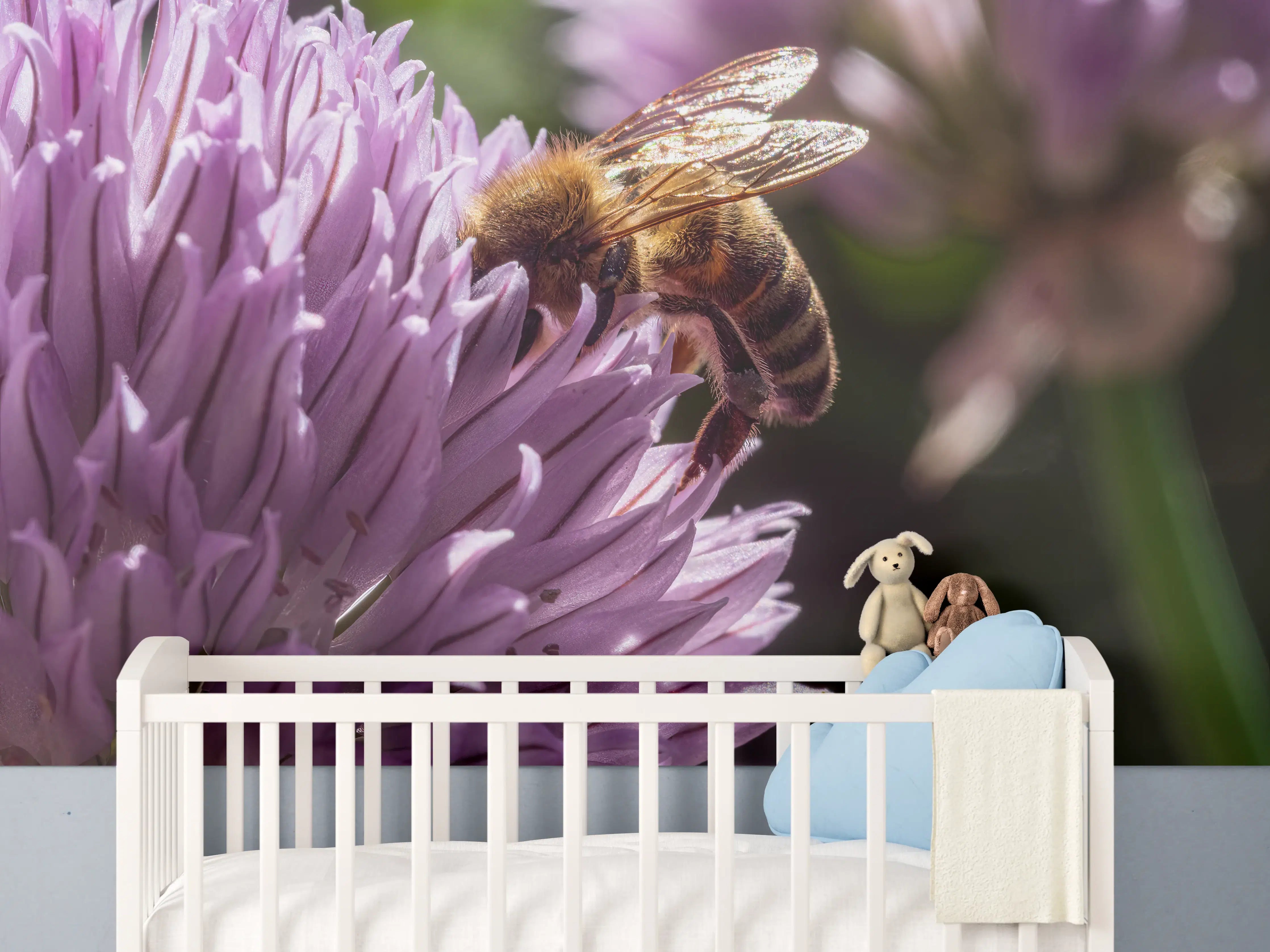 Babyzimmer Wandgestaltung - Biene auf lila Blume im Sonnenlicht