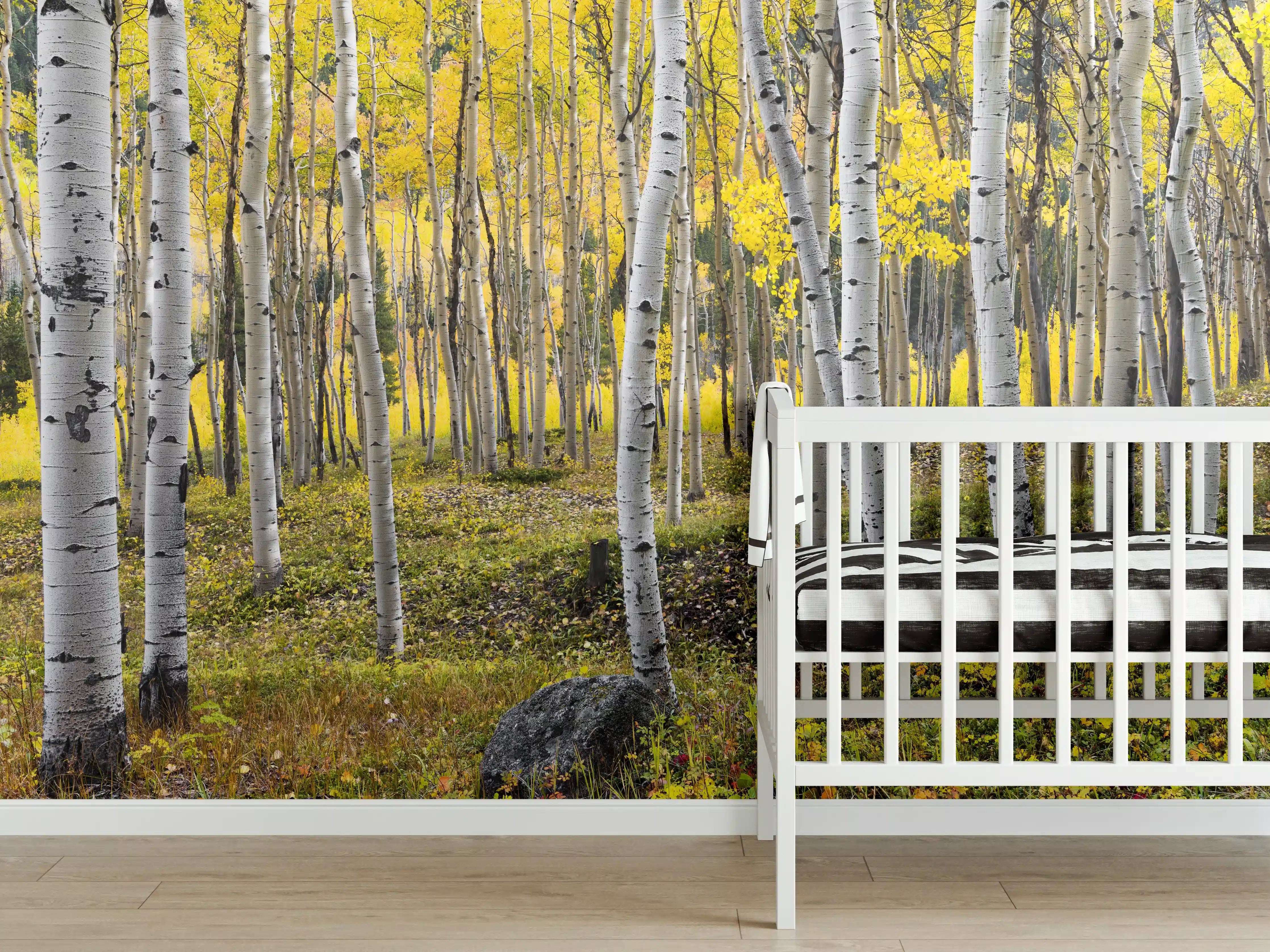 Babyzimmer Wandgestaltung - Birken im Herbst