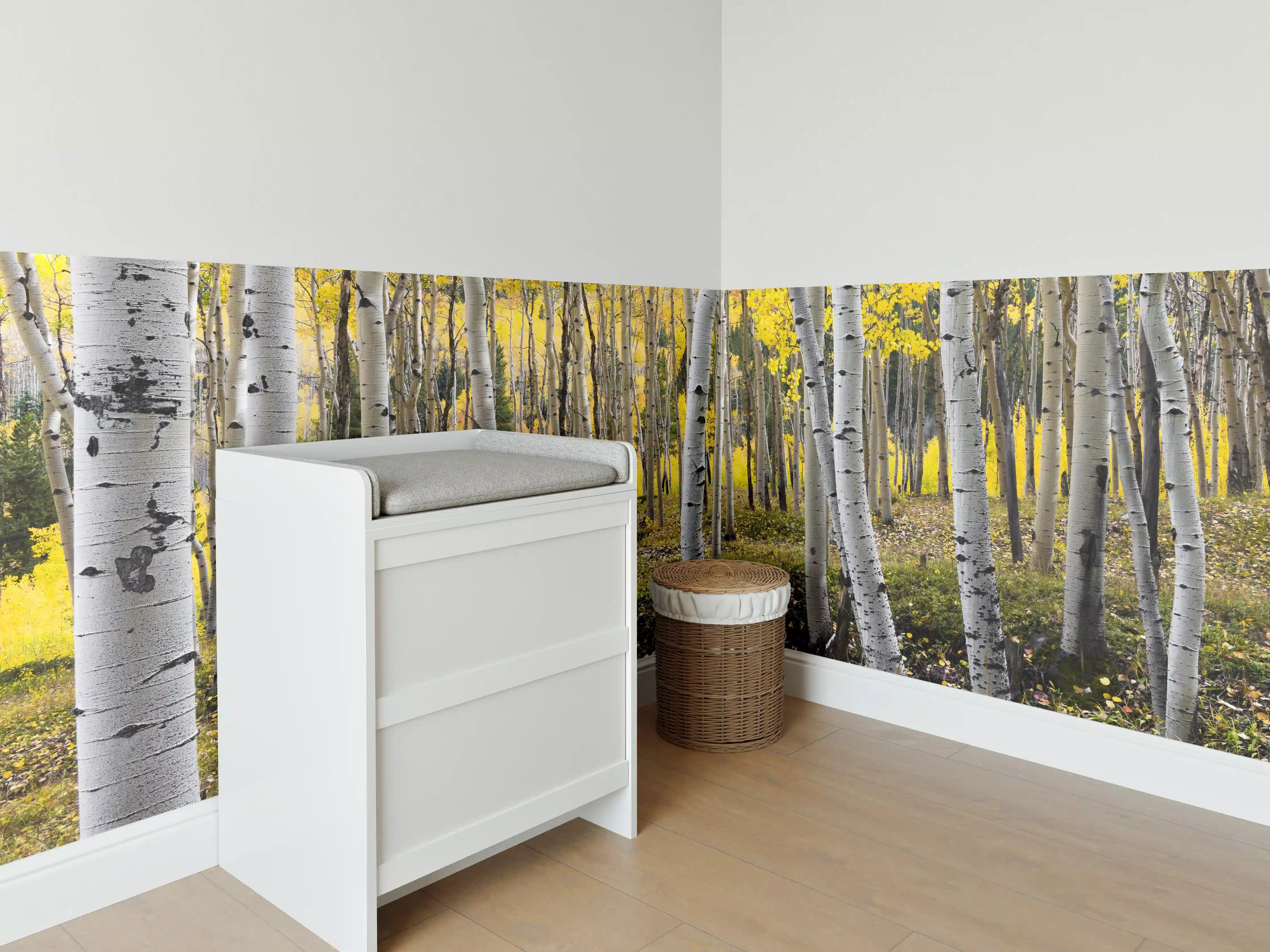 Babyzimmer Wandgestaltung - Birken im Herbst