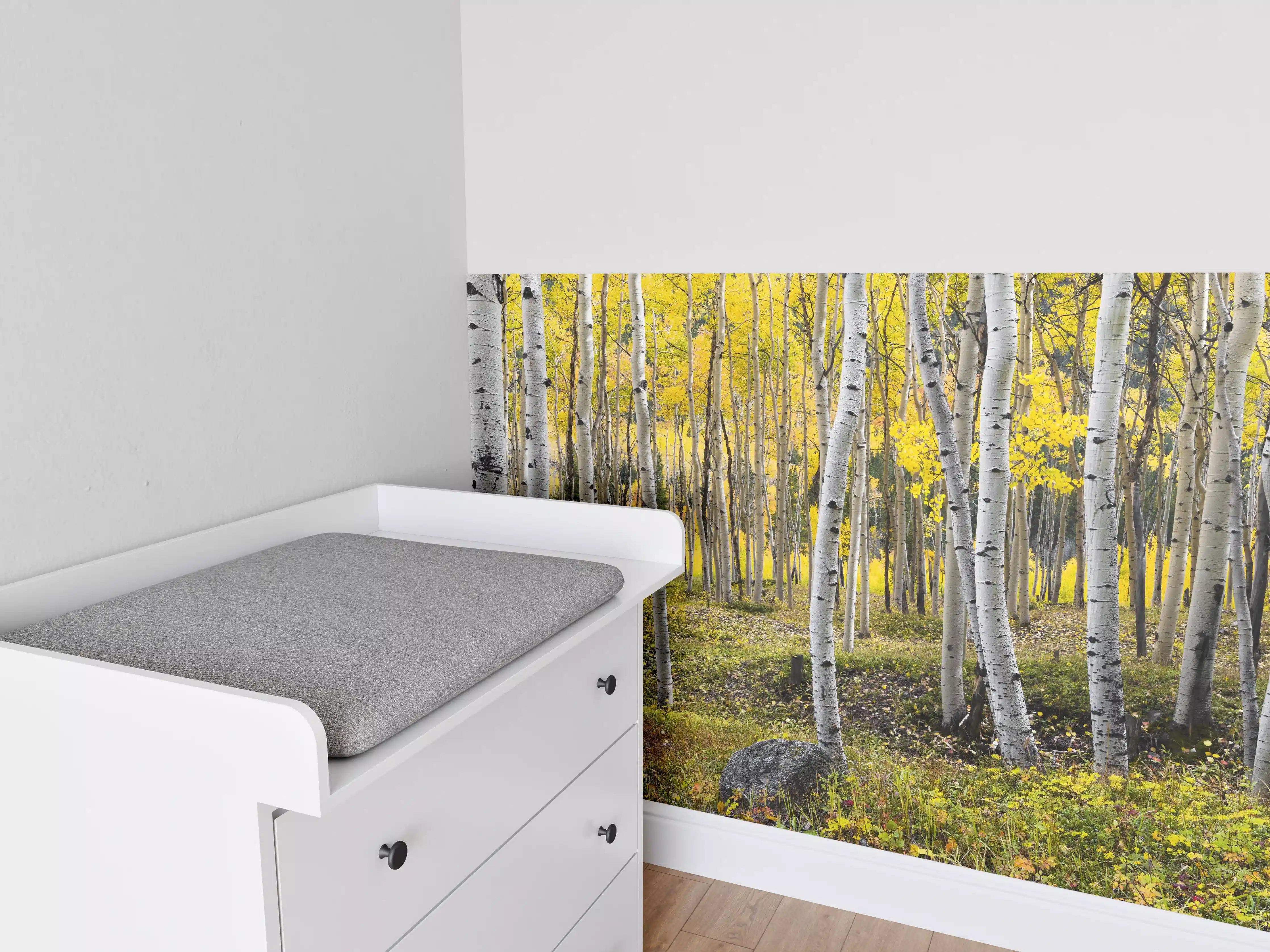 Babyzimmer Wandgestaltung - Birken im Herbst