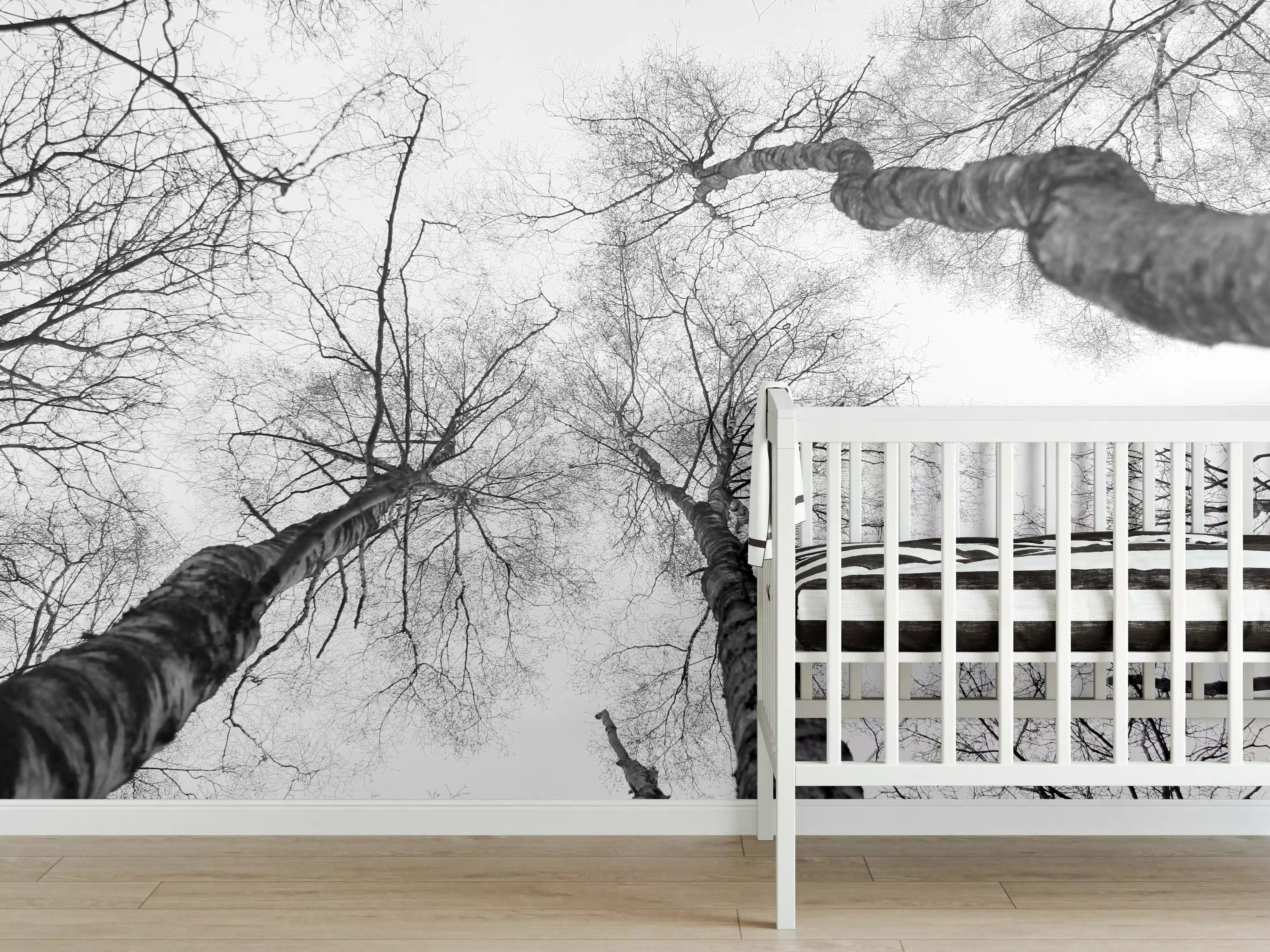 Babyzimmer Wandgestaltung - Birken im Winter von unten