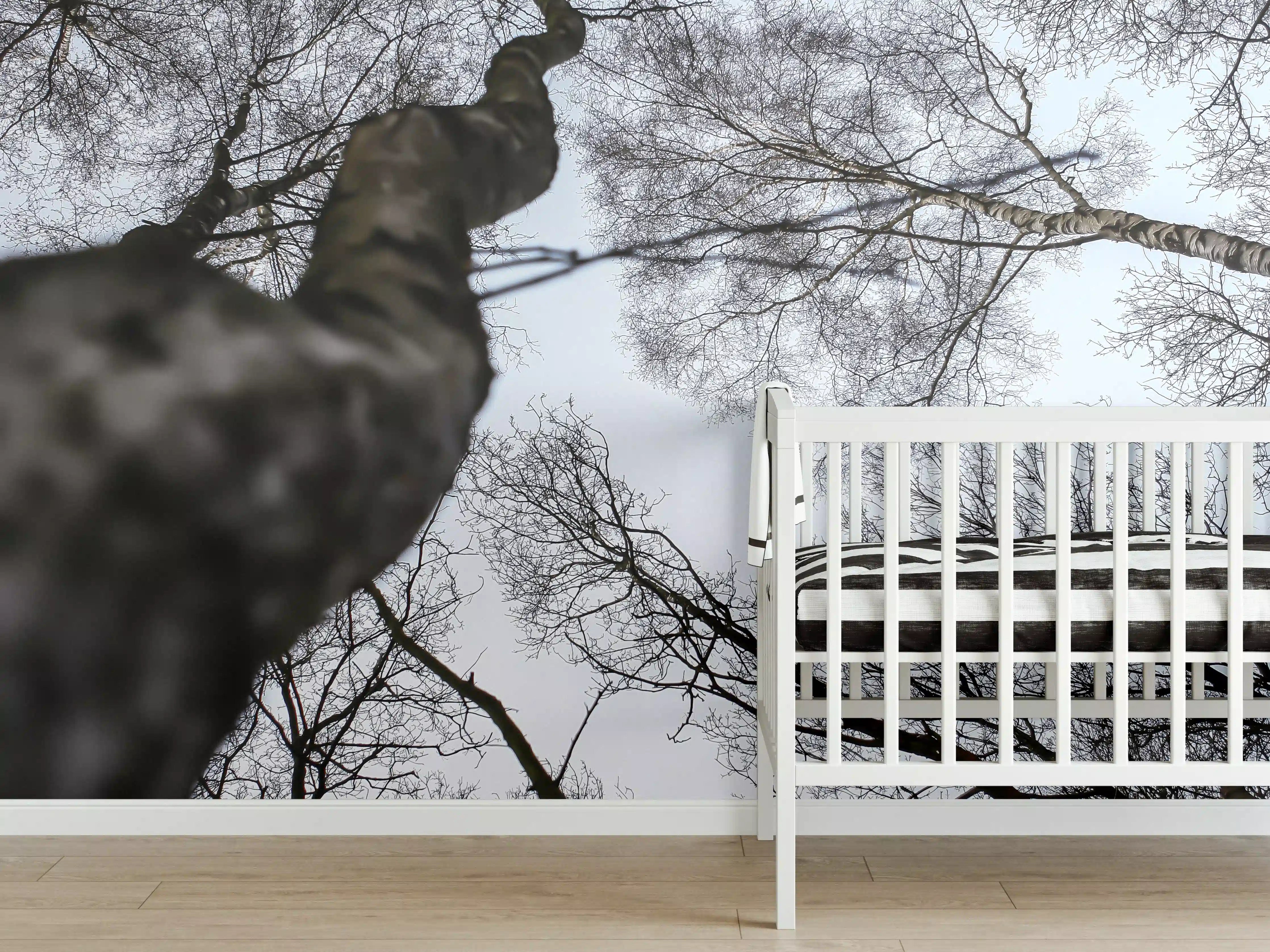 Babyzimmer Wandgestaltung - Birkenwald im WInter