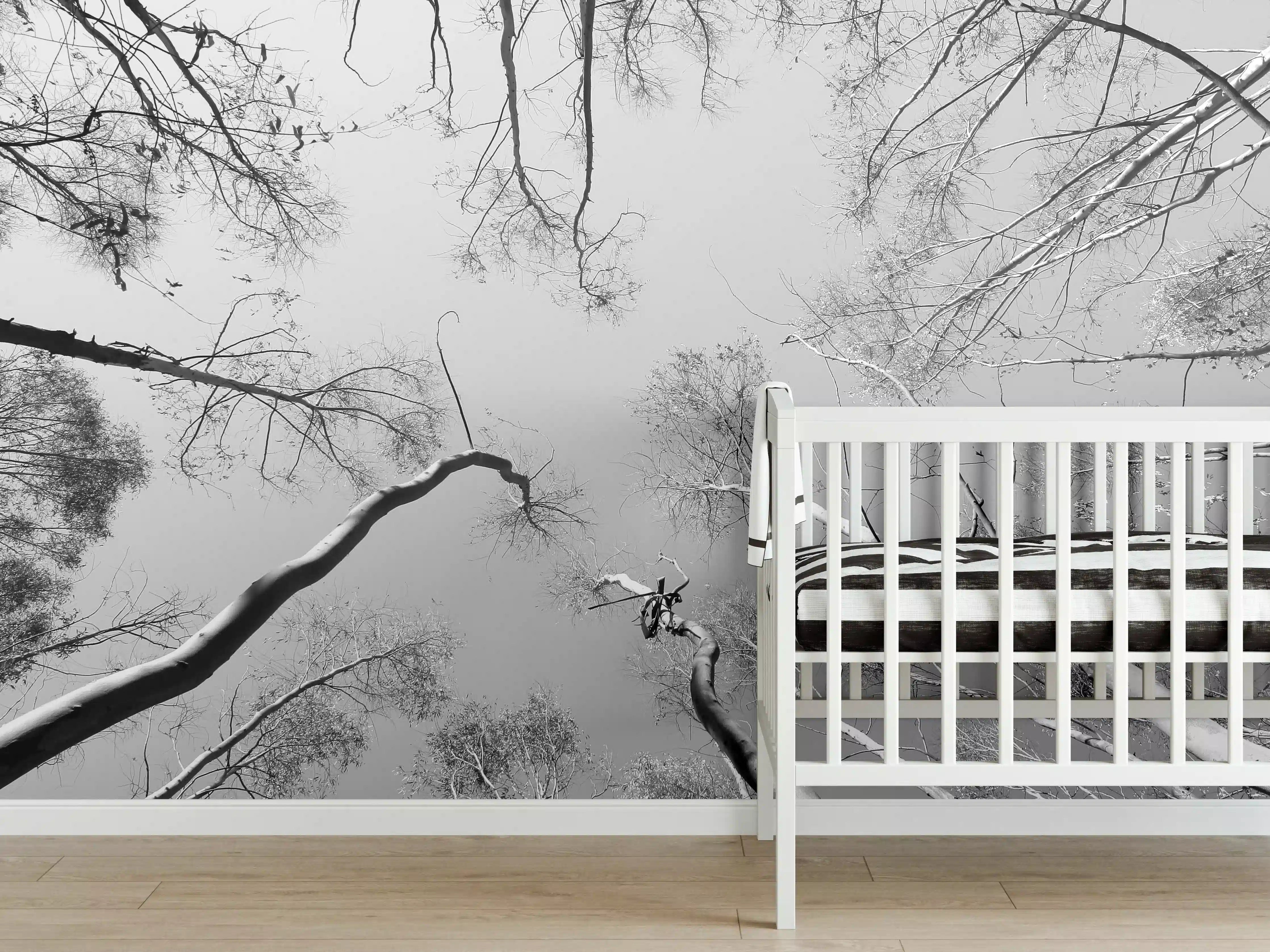 Babyzimmer Wandgestaltung - Birkenwald im Winter von unten