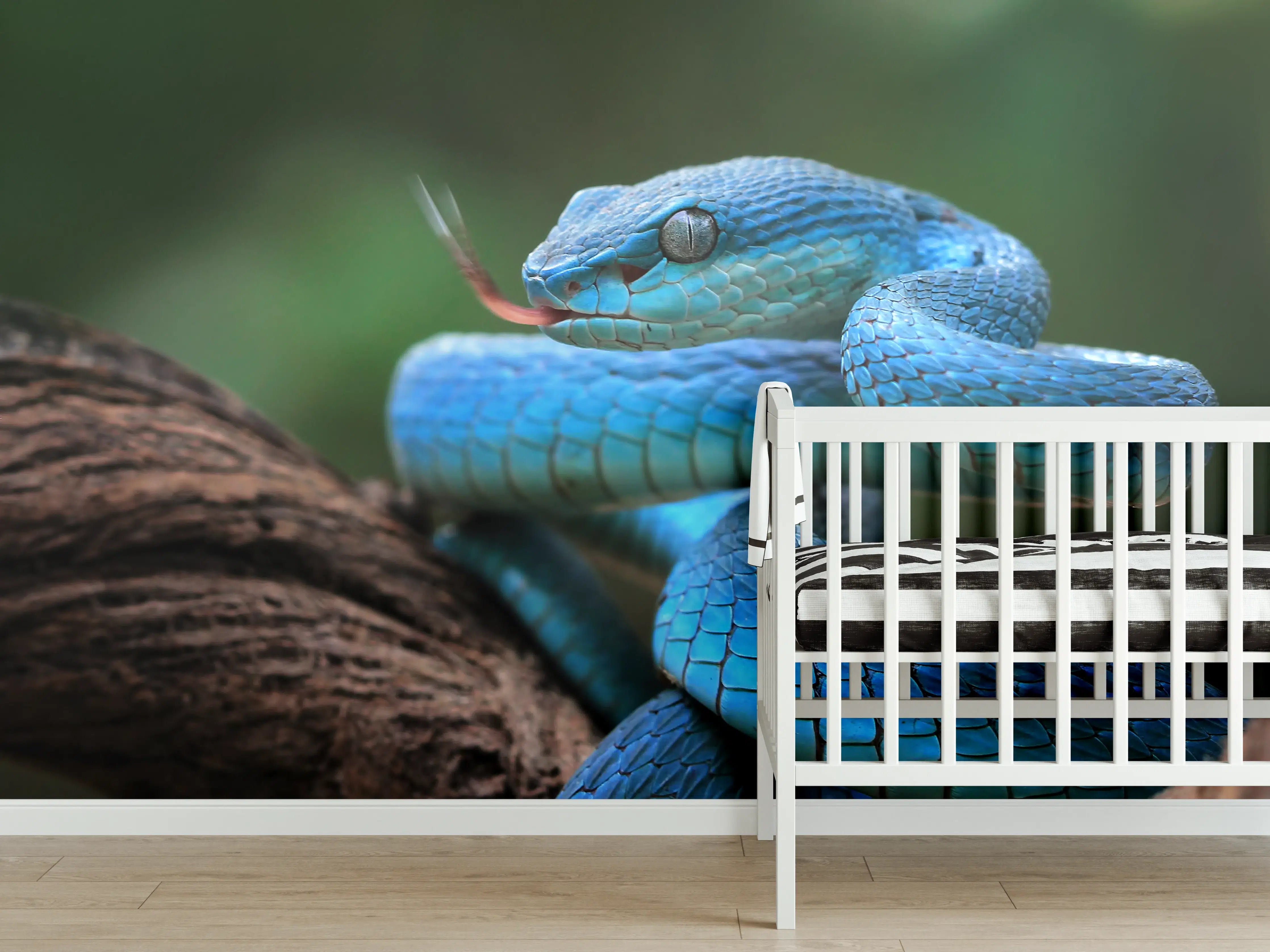 Babyzimmer Wandgestaltung - Blaue Viper Nahaufnahme