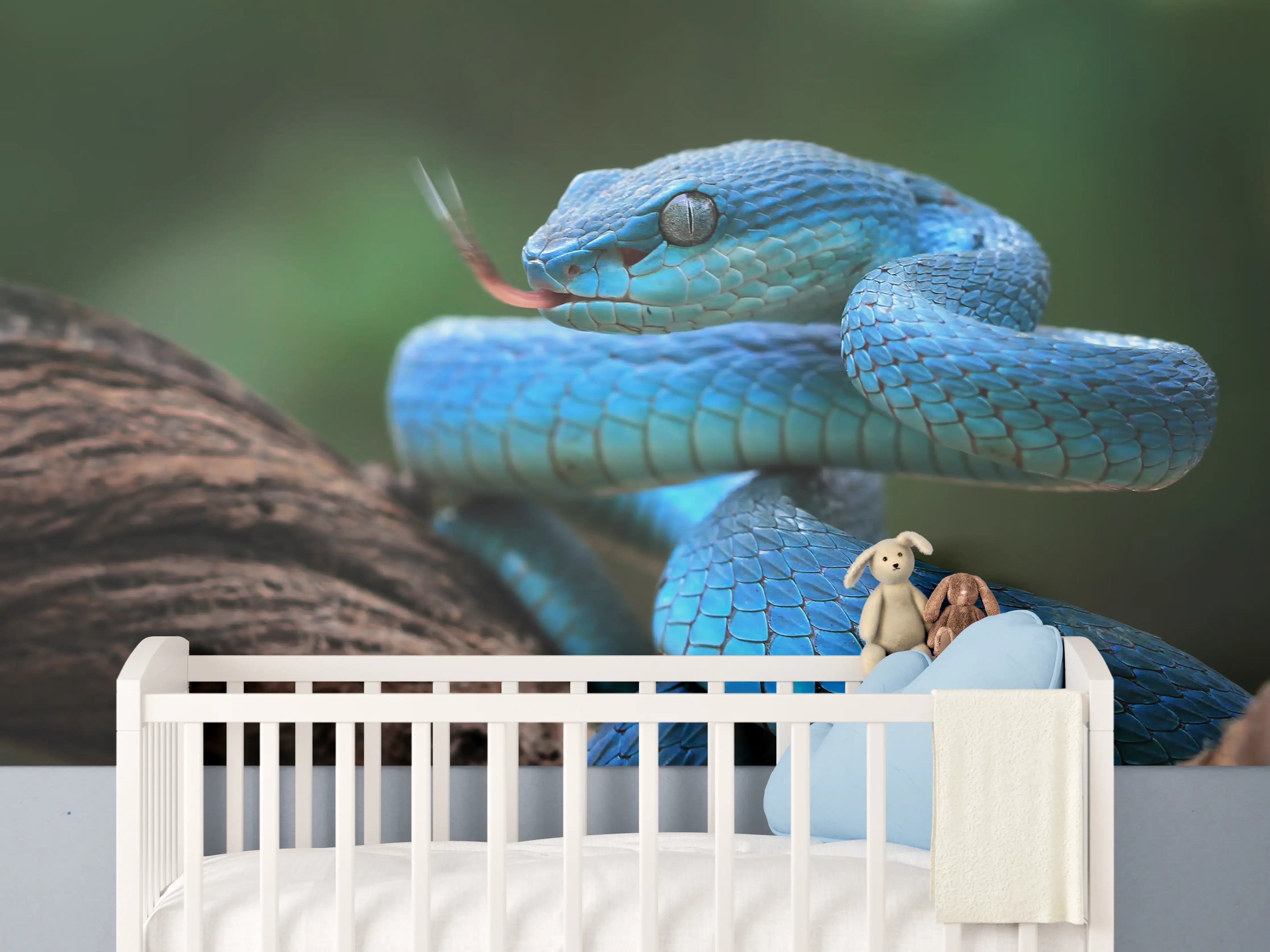 Babyzimmer Wandgestaltung - Blaue Viper Nahaufnahme