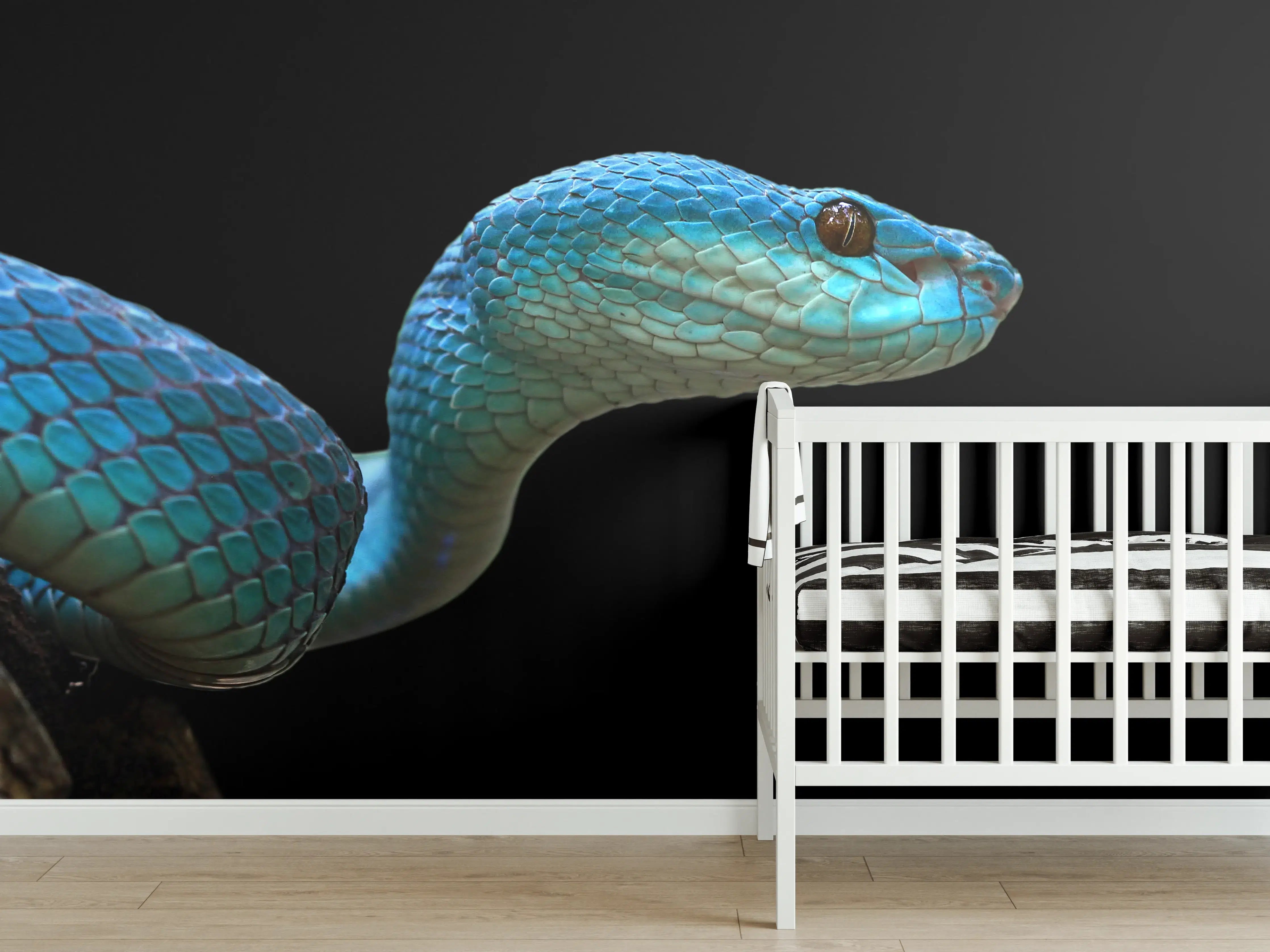 Babyzimmer Wandgestaltung - Blaue Vipernschlange Nahaufnahme