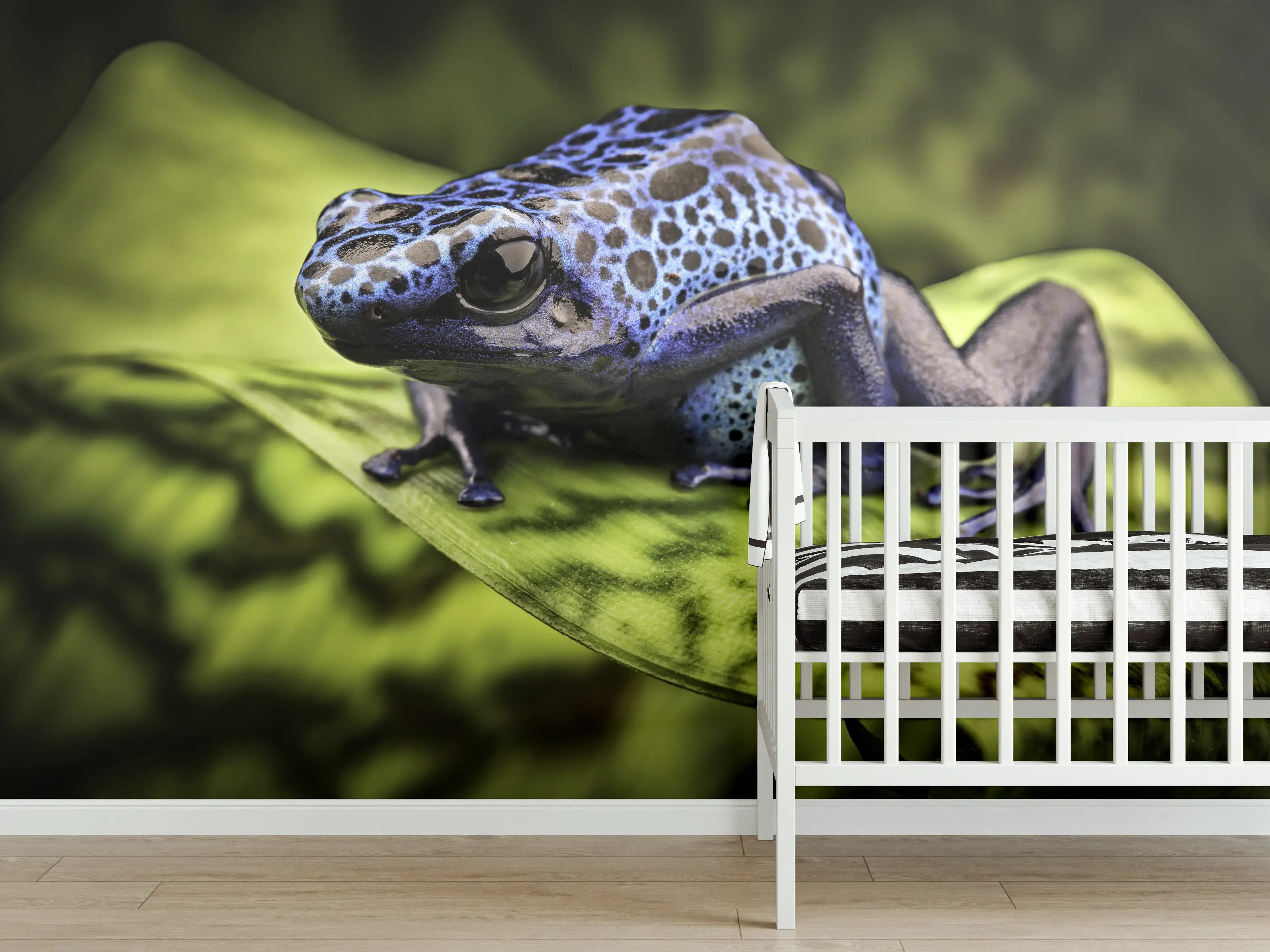 Babyzimmer Wandgestaltung - Blauer Pfeilgiftfrosch im Amazonas