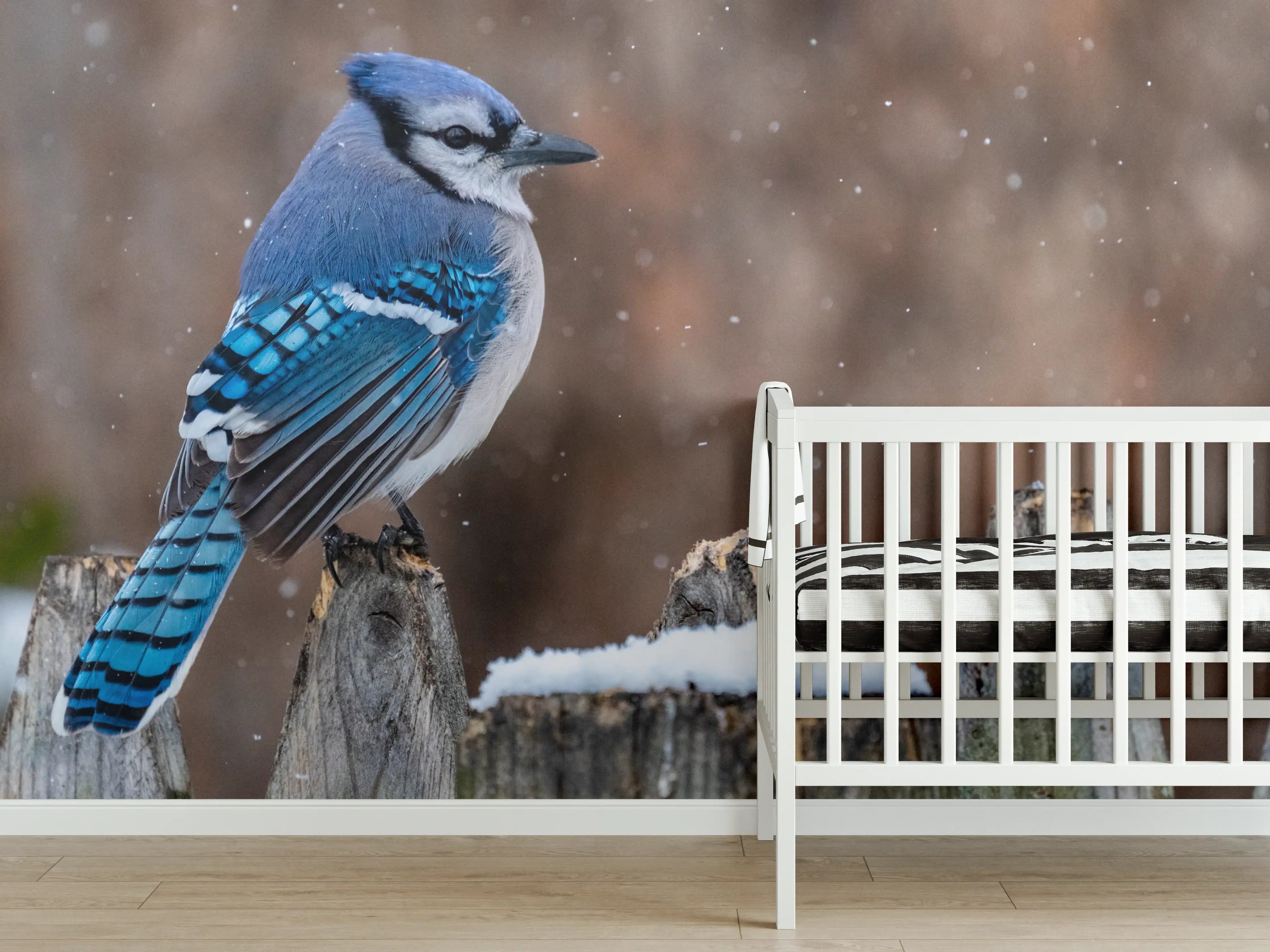 Babyzimmer Wandgestaltung - Blauhäher im Schnee