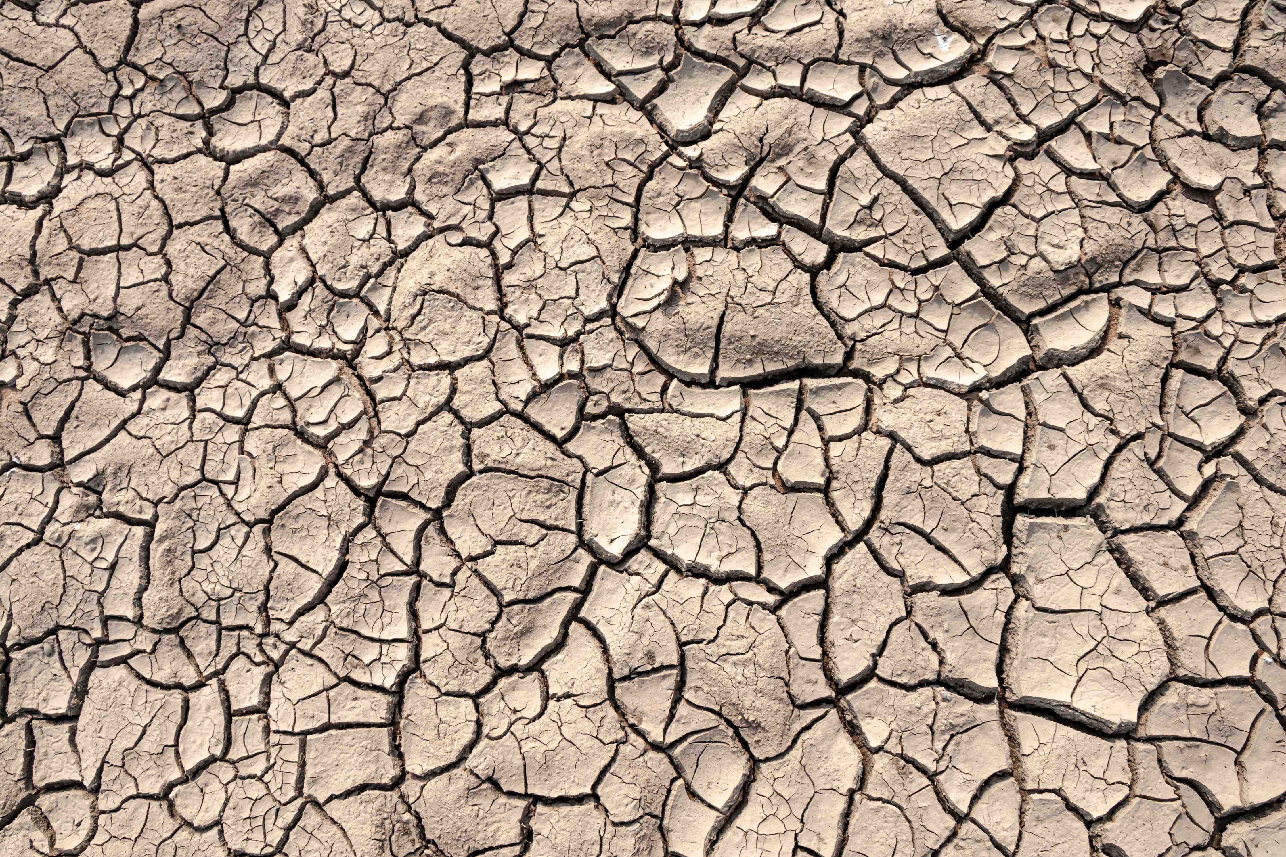 Babyzimmer Wandgestaltung-Bodenrisse auf Trockenem Boden