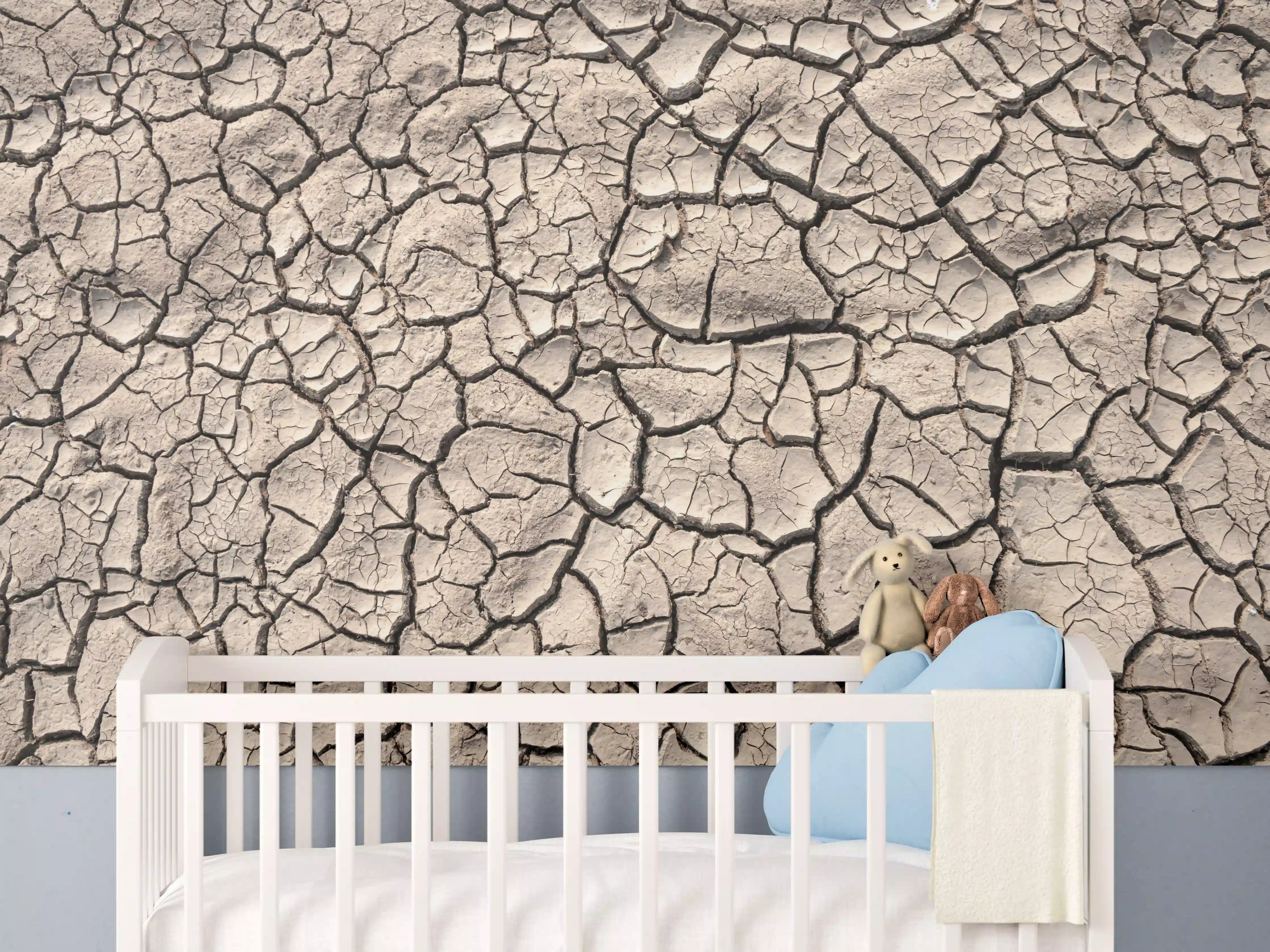 Babyzimmer Wandgestaltung - Bodenrisse auf Trockenem Boden