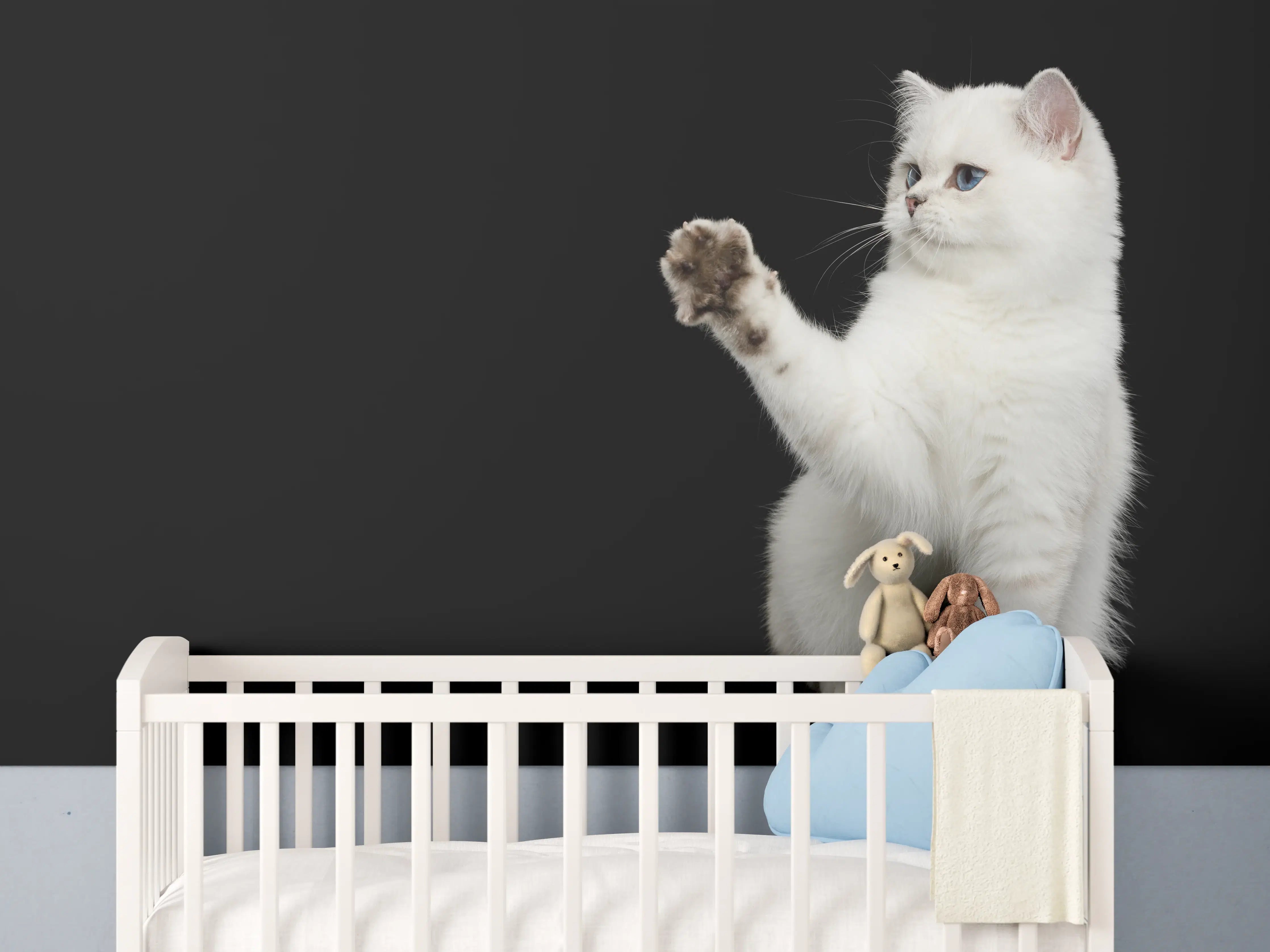 Babyzimmer Wandgestaltung - British weiße Katze