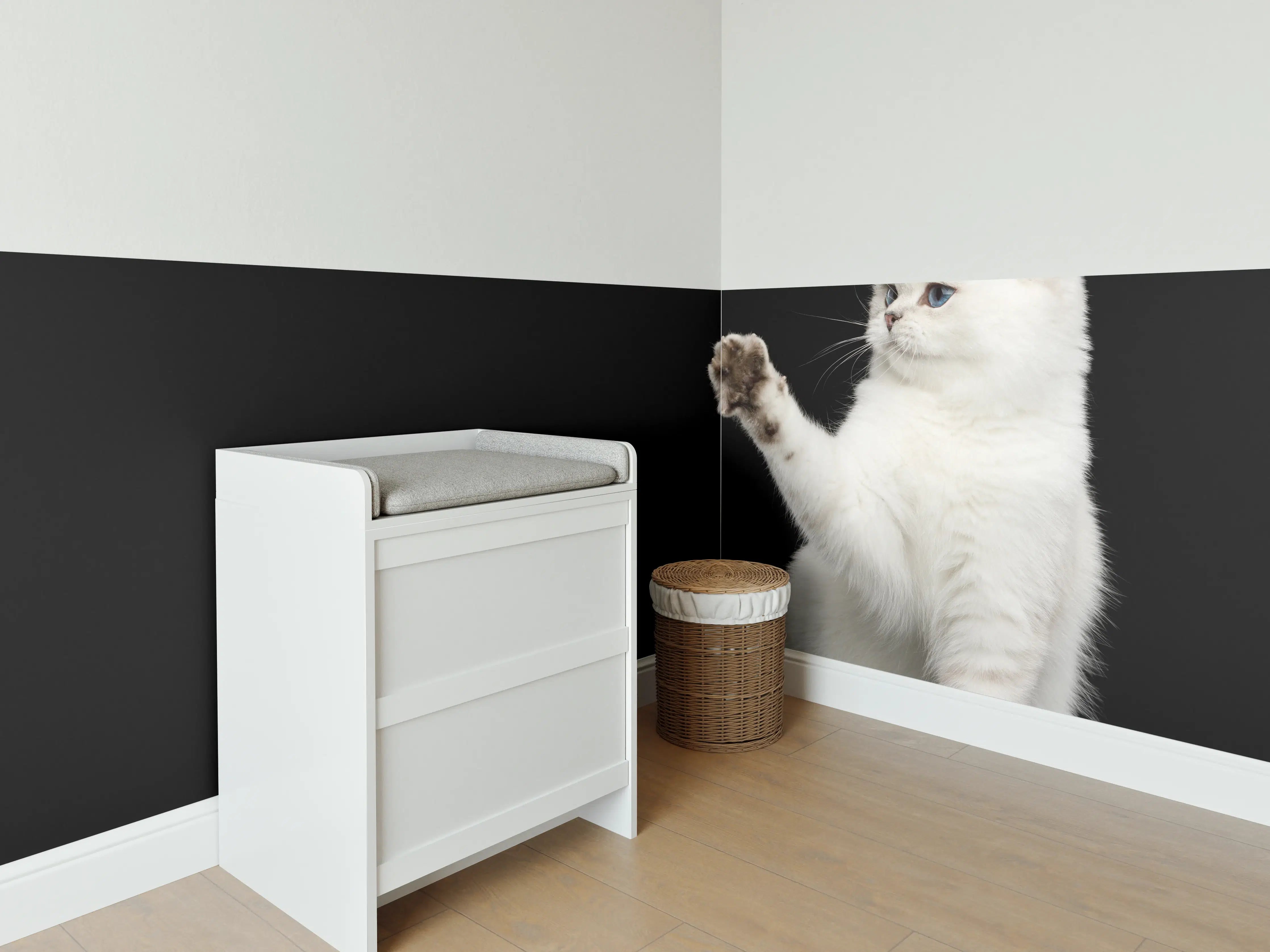 Babyzimmer Wandgestaltung - British weiße Katze