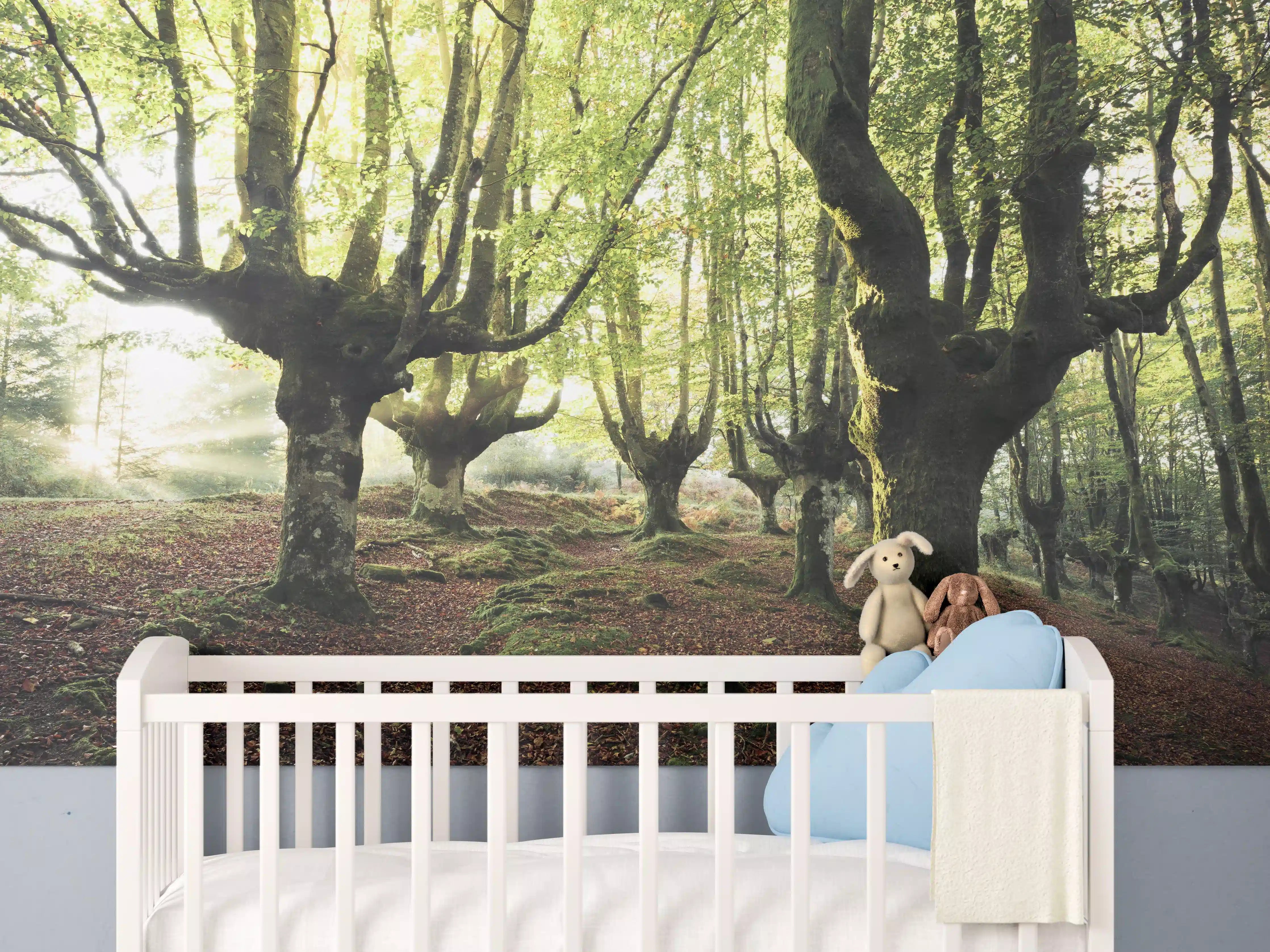 Babyzimmer Wandgestaltung - Buchenwald in Spanien