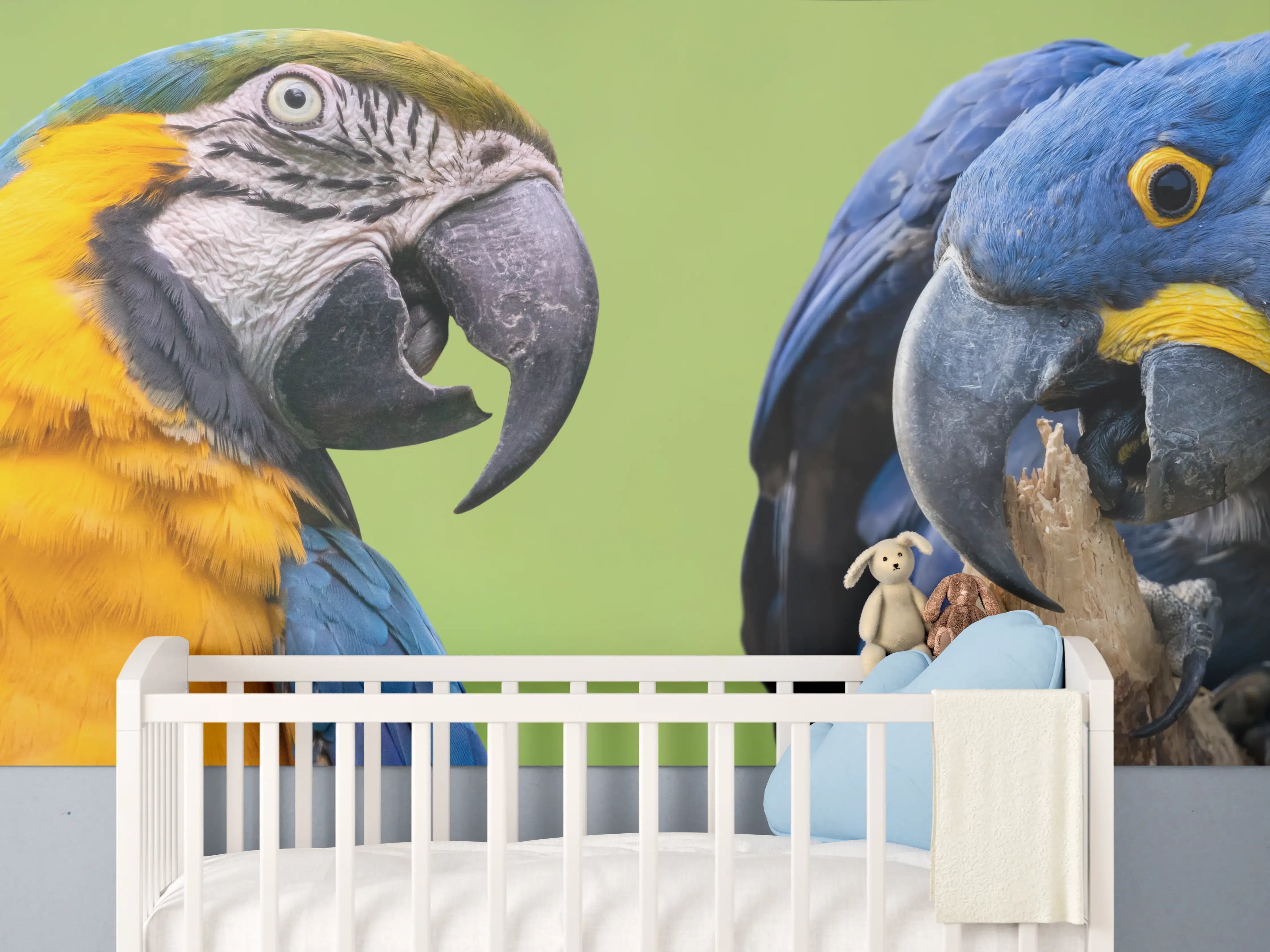 Babyzimmer Wandgestaltung - Bunte Gruppe von Aras