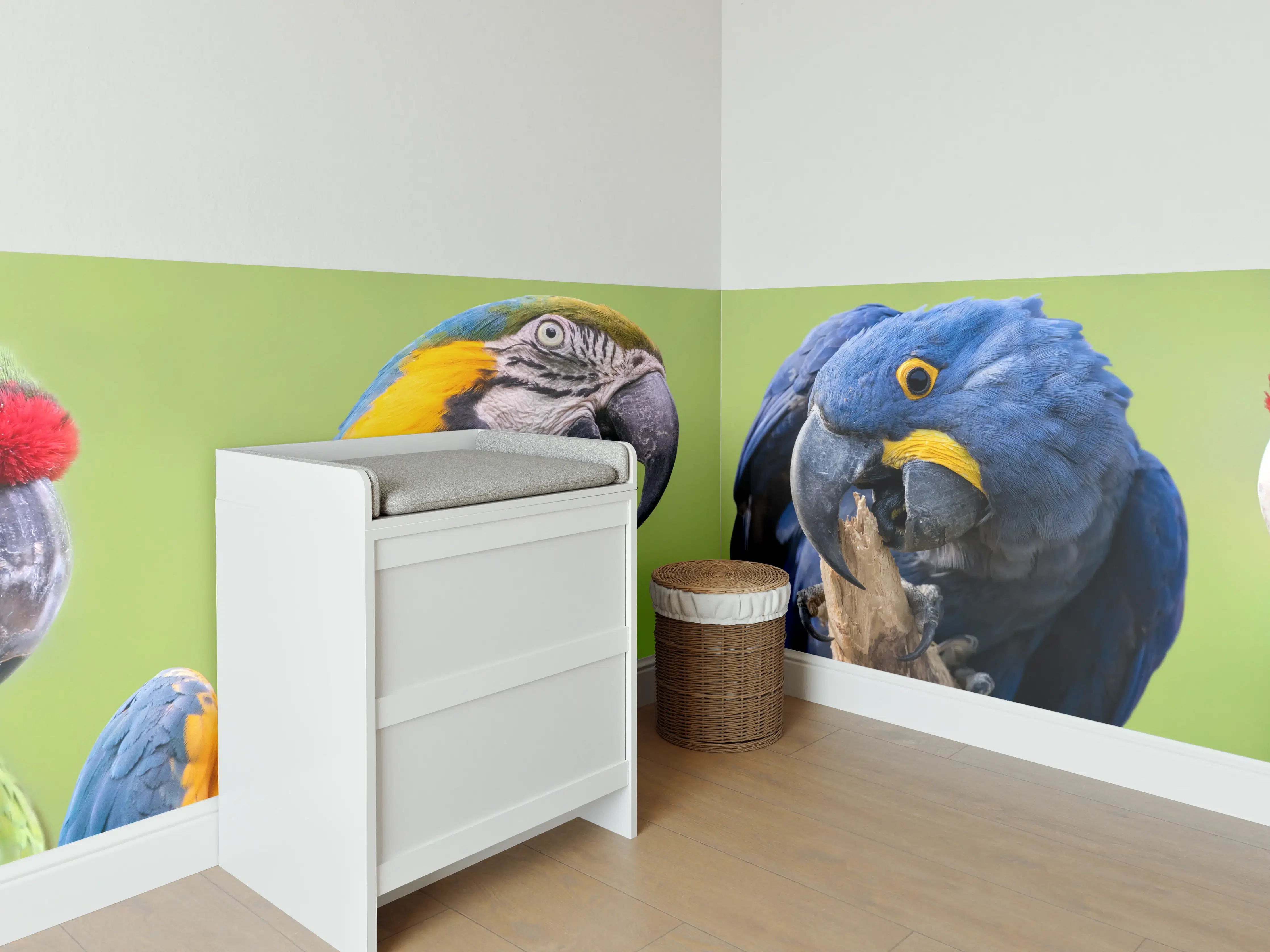 Babyzimmer Wandgestaltung - Bunte Gruppe von Aras