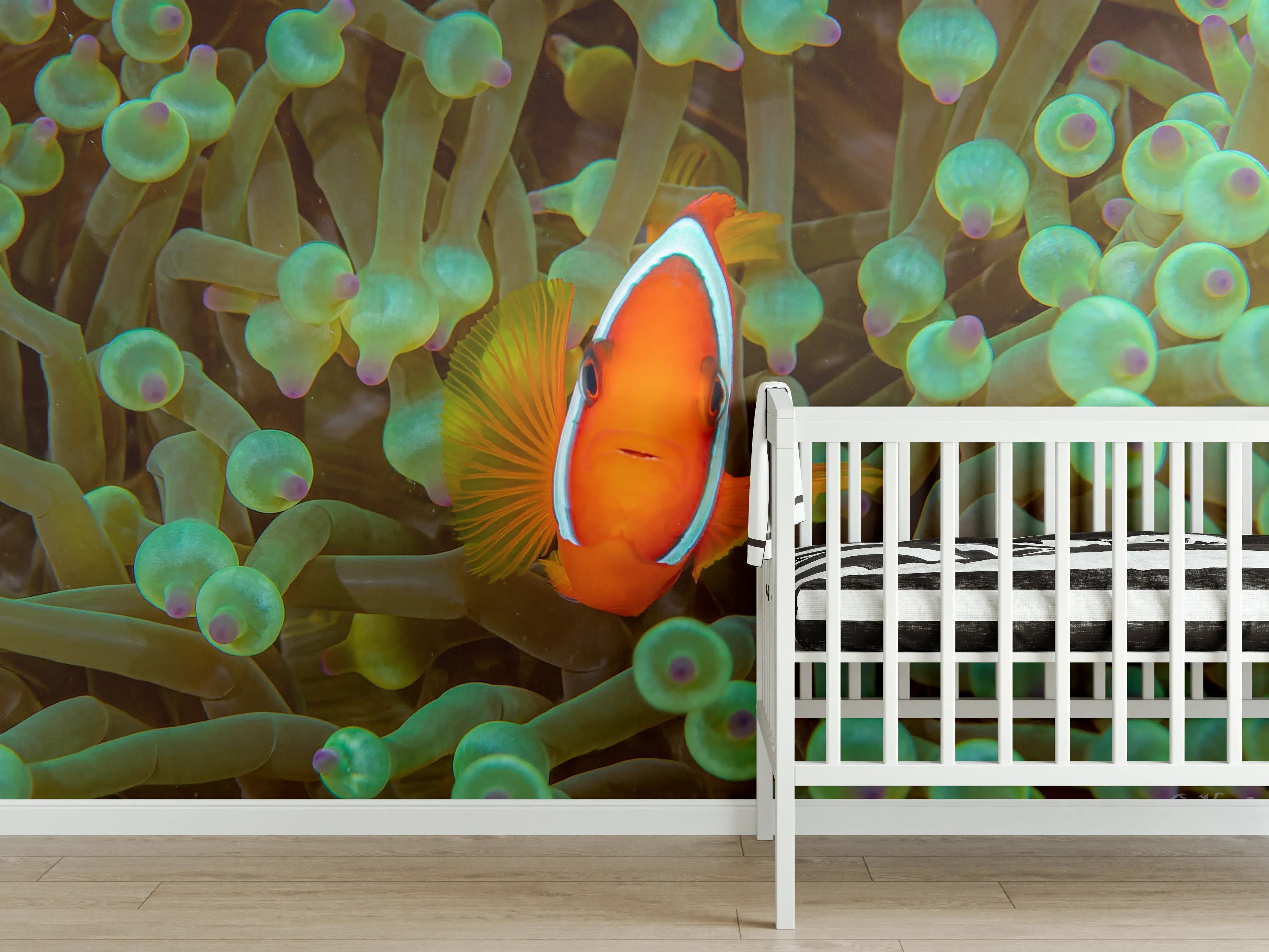 Babyzimmer Wandgestaltung - Clownfisch - Unterwasserwelt