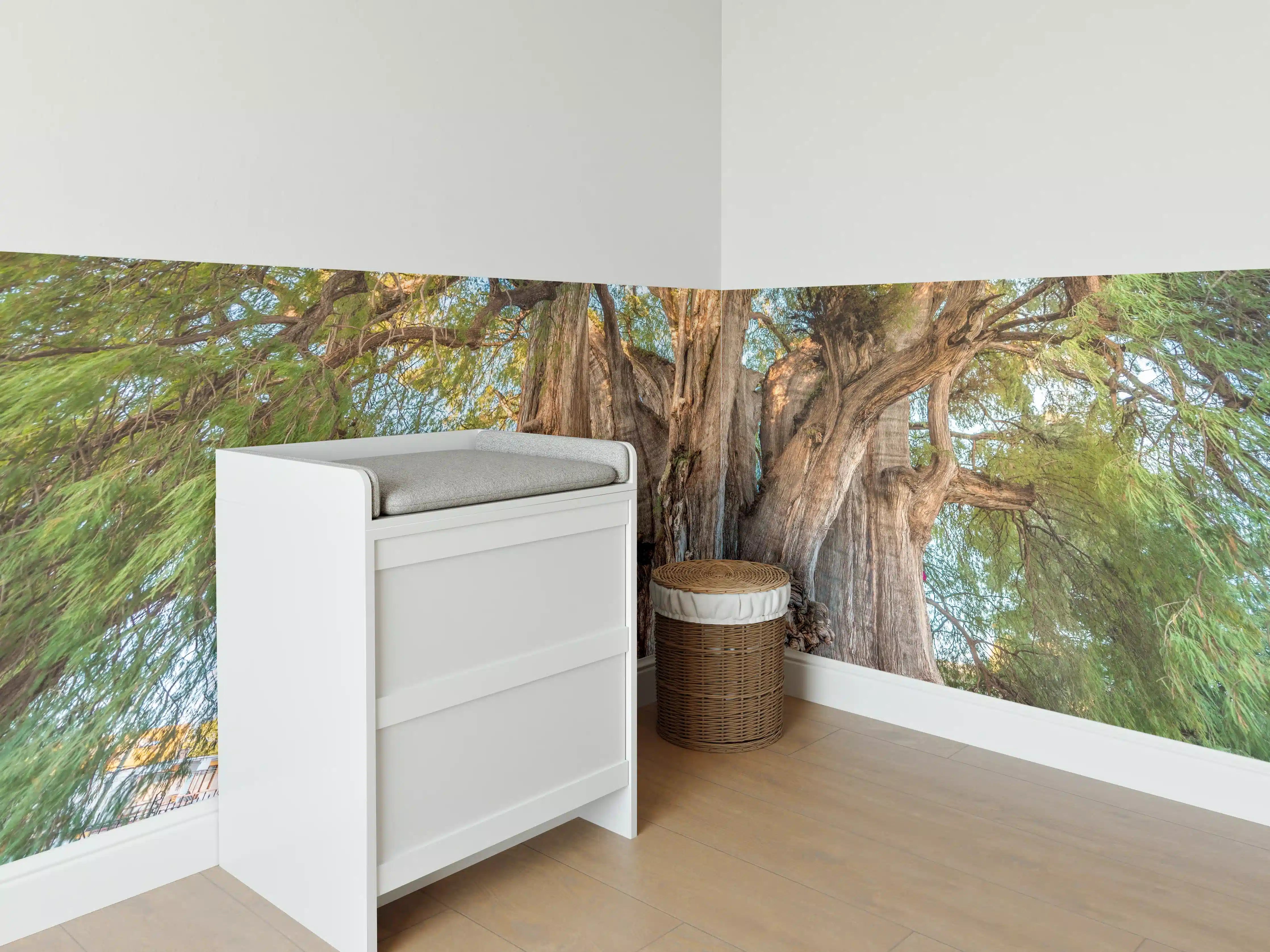 Babyzimmer Wandgestaltung - Der größte Baum der Welt - Mexico