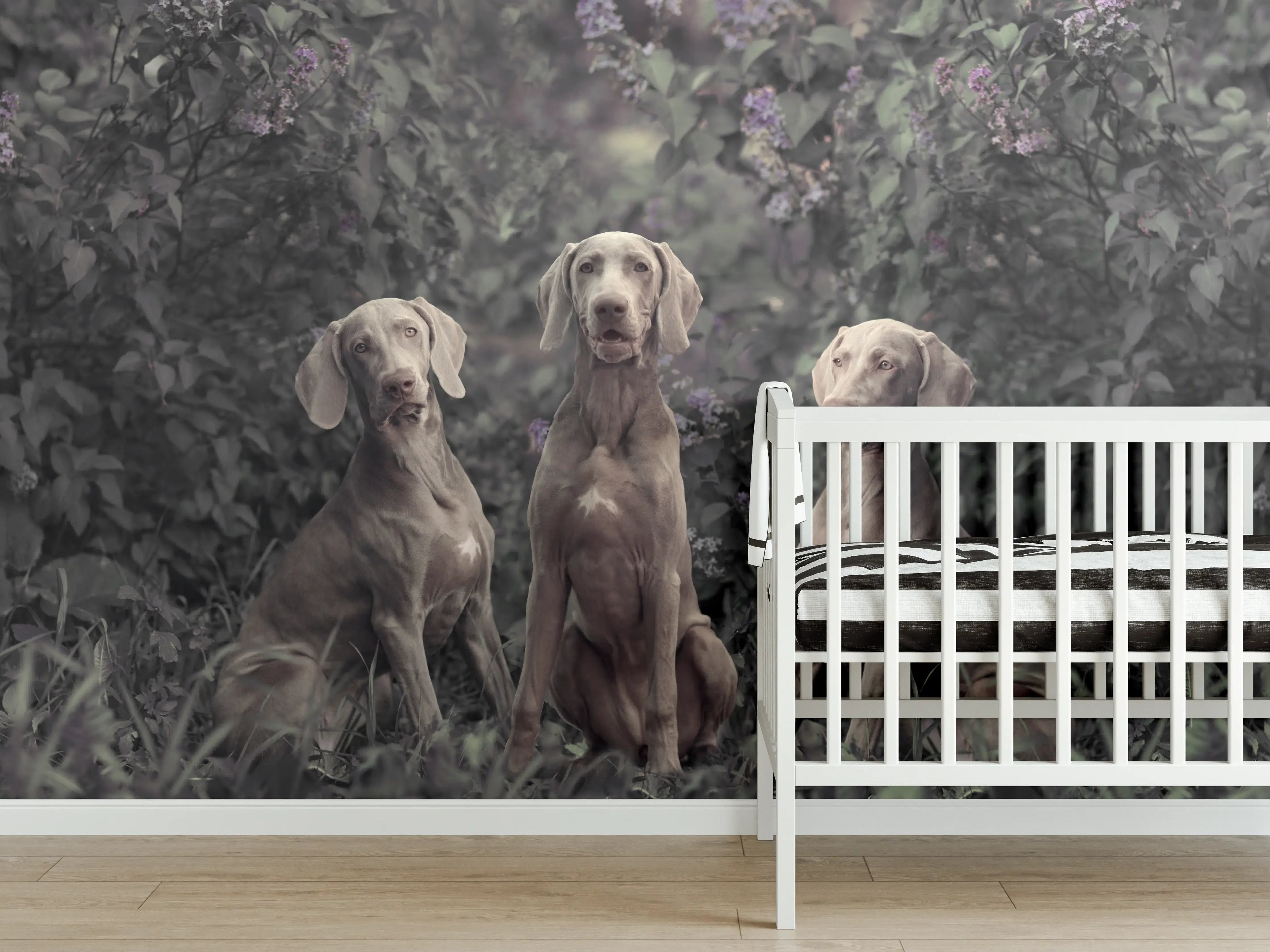 Babyzimmer Wandgestaltung - Drei Weimaranerhunde sitzend im Fliedergebüsch