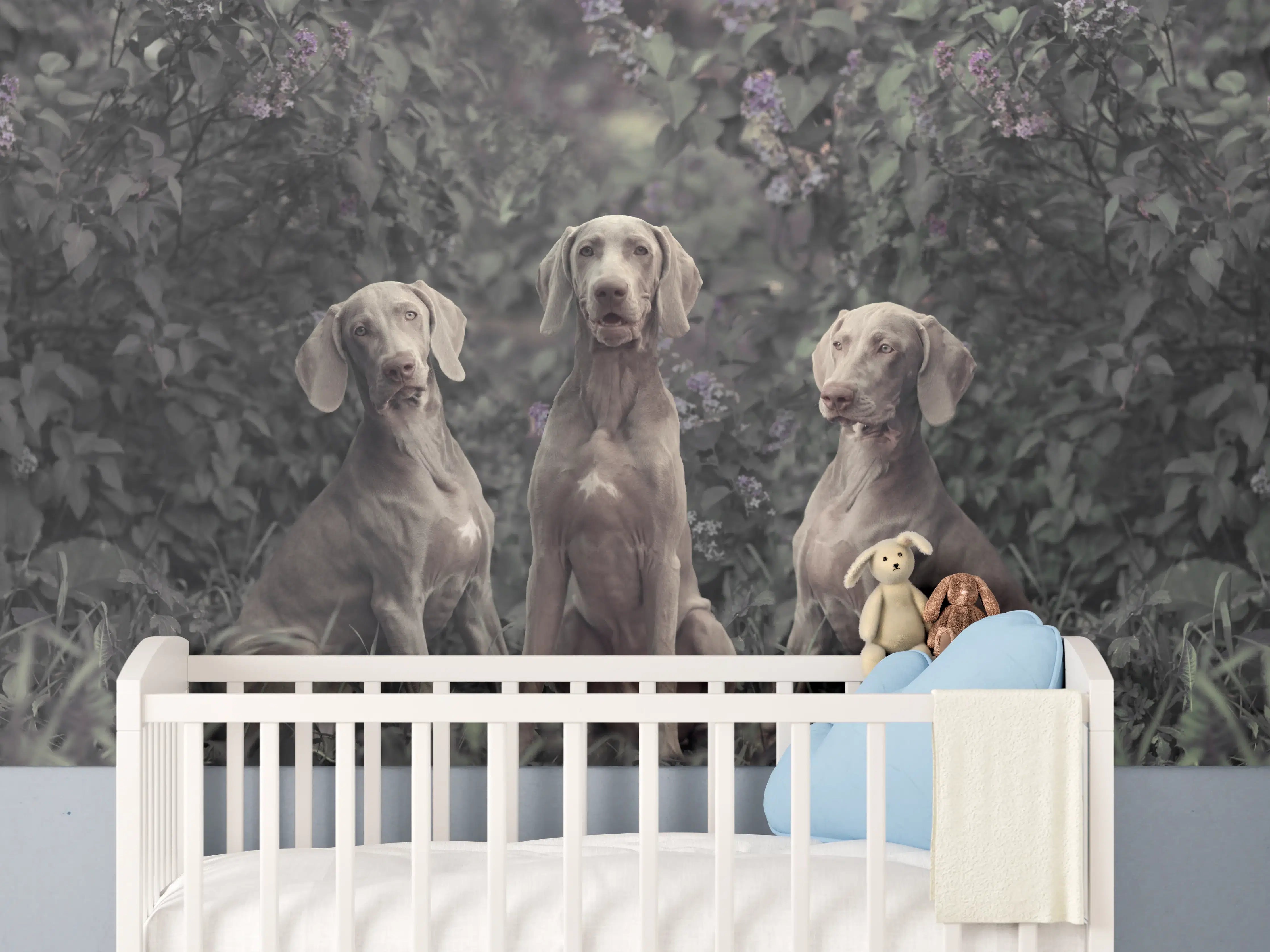 Babyzimmer Wandgestaltung - Drei Weimaranerhunde sitzend im Fliedergebüsch