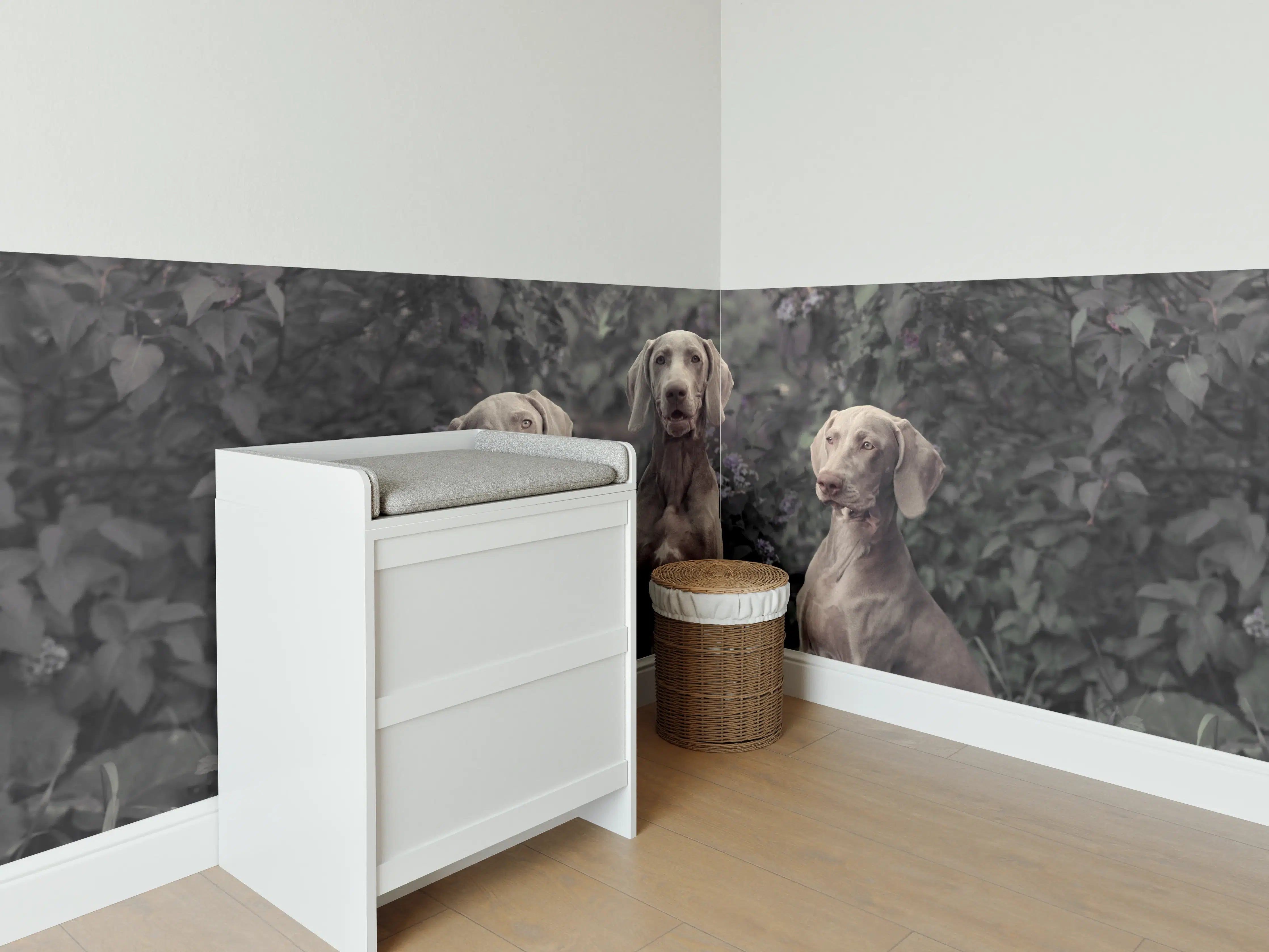 Babyzimmer Wandgestaltung - Drei Weimaranerhunde sitzend im Fliedergebüsch