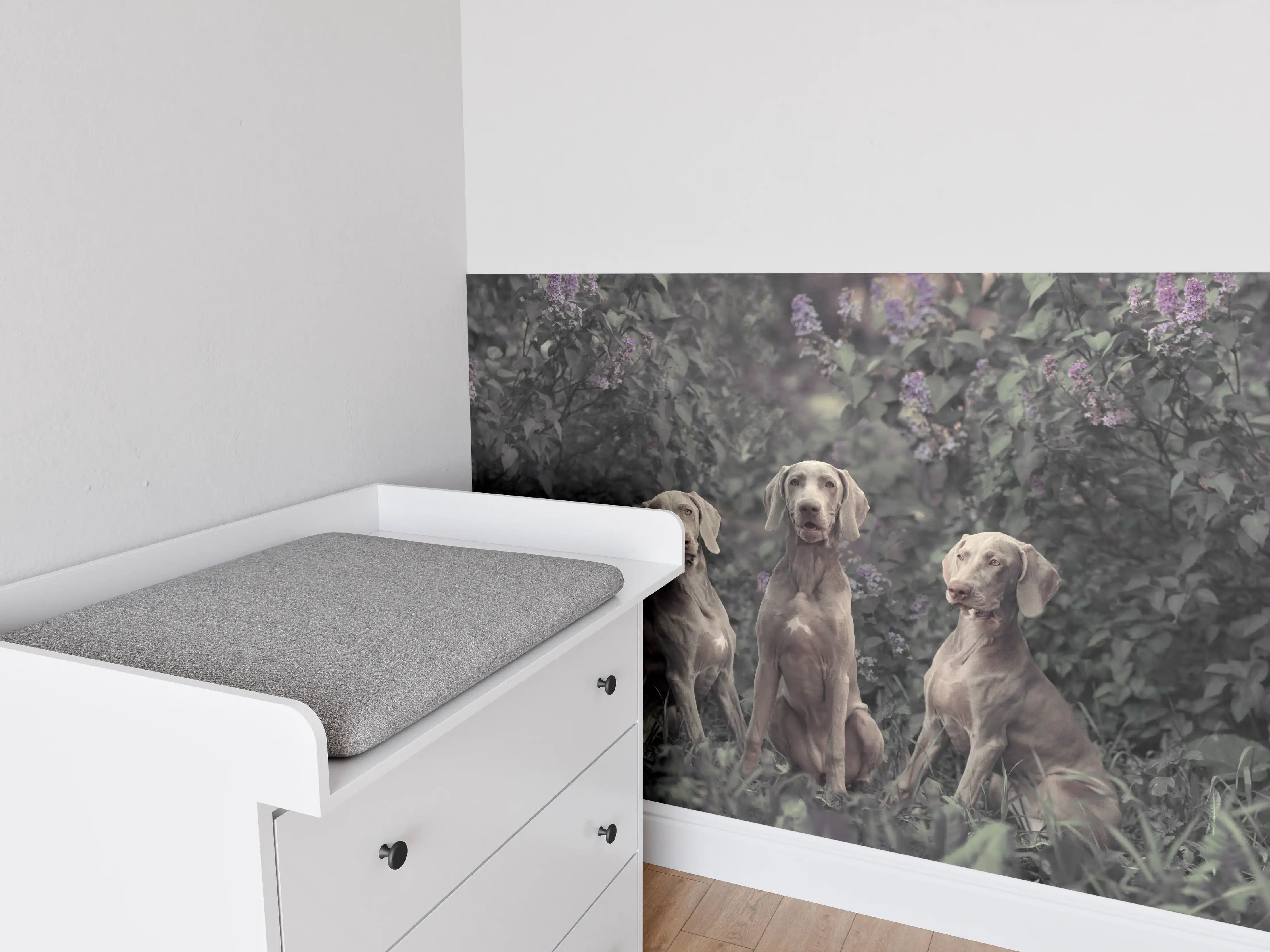 Babyzimmer Wandgestaltung - Drei Weimaranerhunde sitzend im Fliedergebüsch
