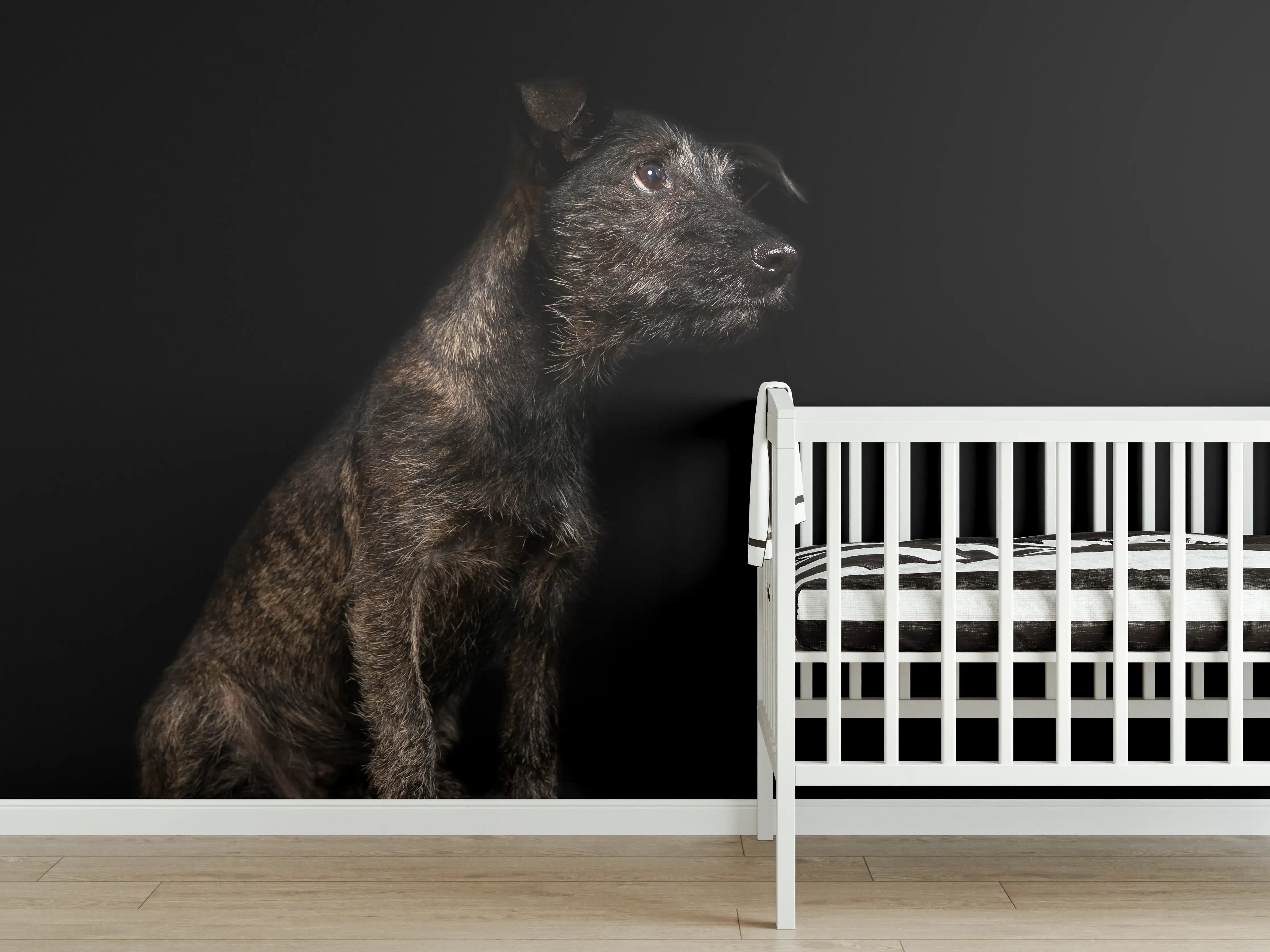 Babyzimmer Wandgestaltung - Dunkler Cairn Terrier Hund